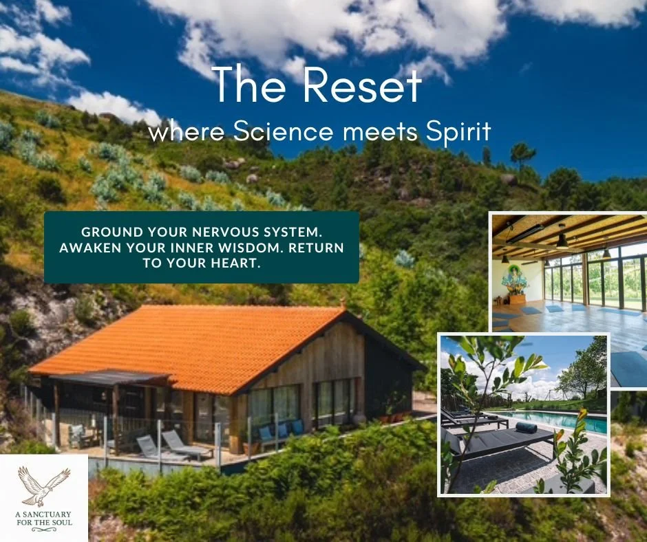 What happened when I went away….