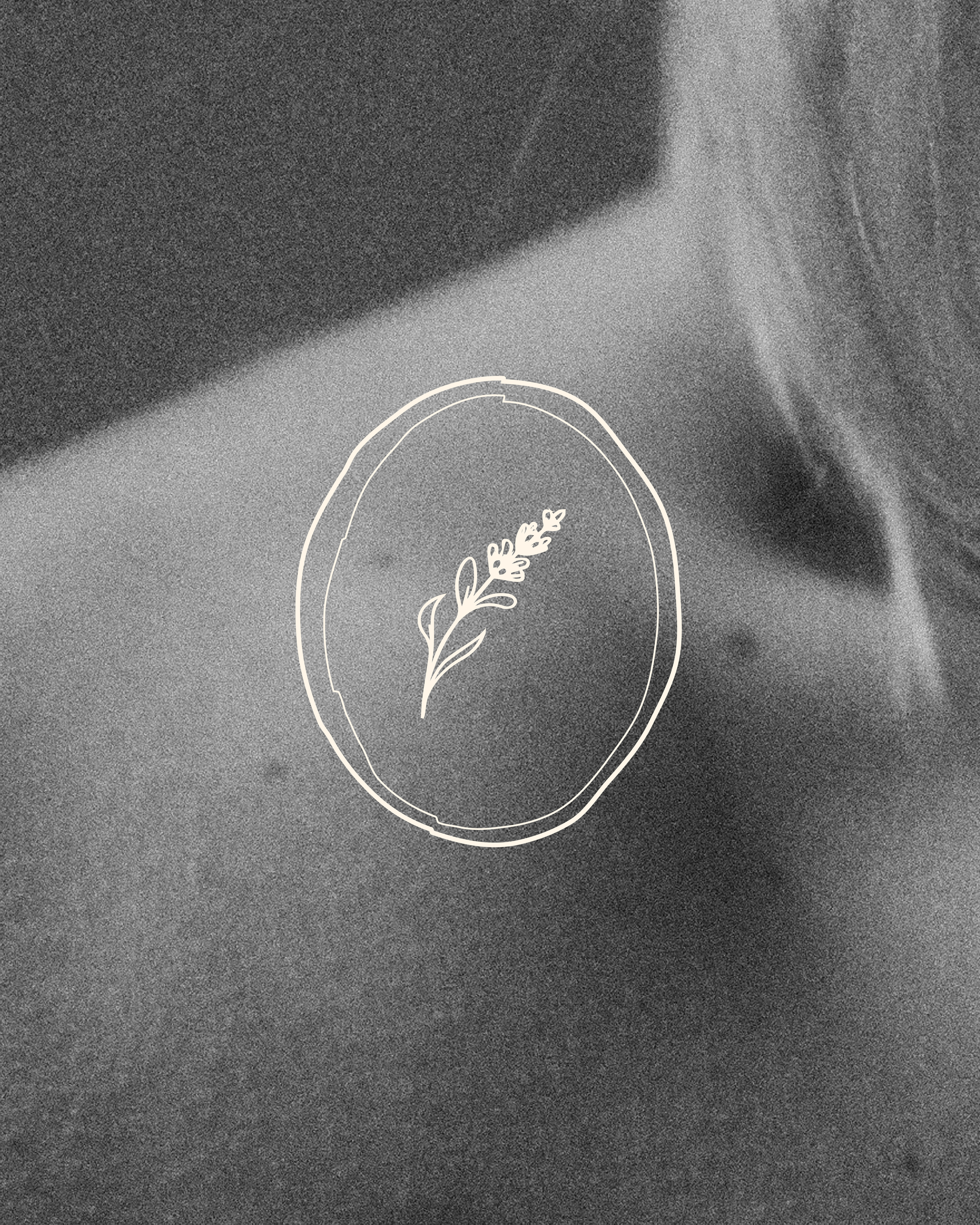 Laven Instagrams.png