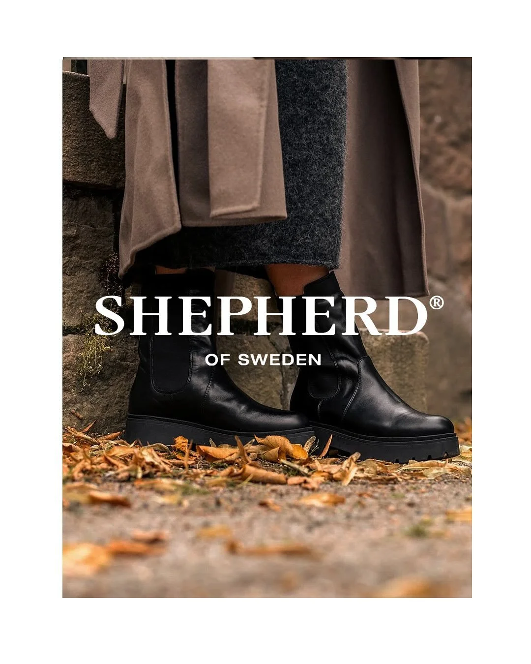 Prezentujemy piękne stylizacje od Shepherd of Sweden ✨

#modadamska #polskamoda #stylizacja #stylizacjanadziś #szafakapsułowa #modaskandynawska
