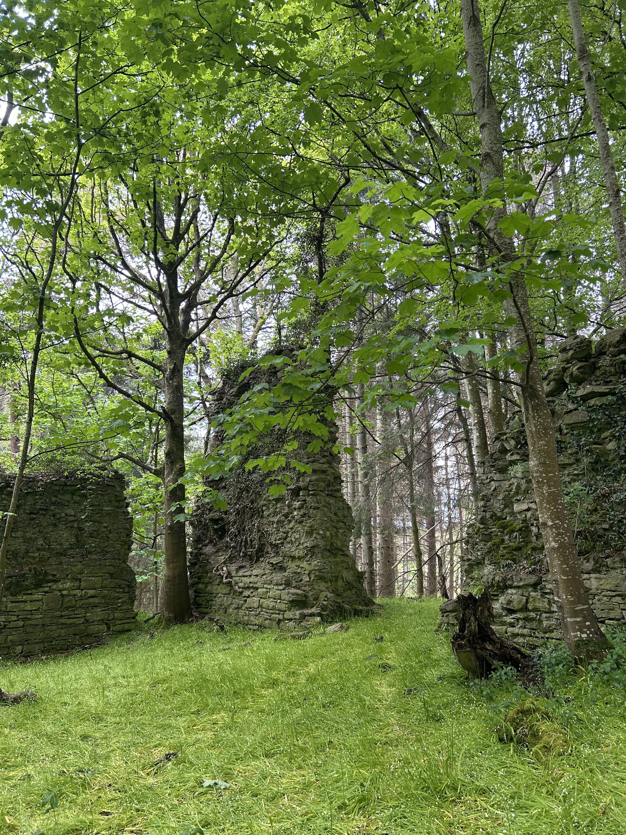 The Romantic Ruins of Kinclaven Castle
