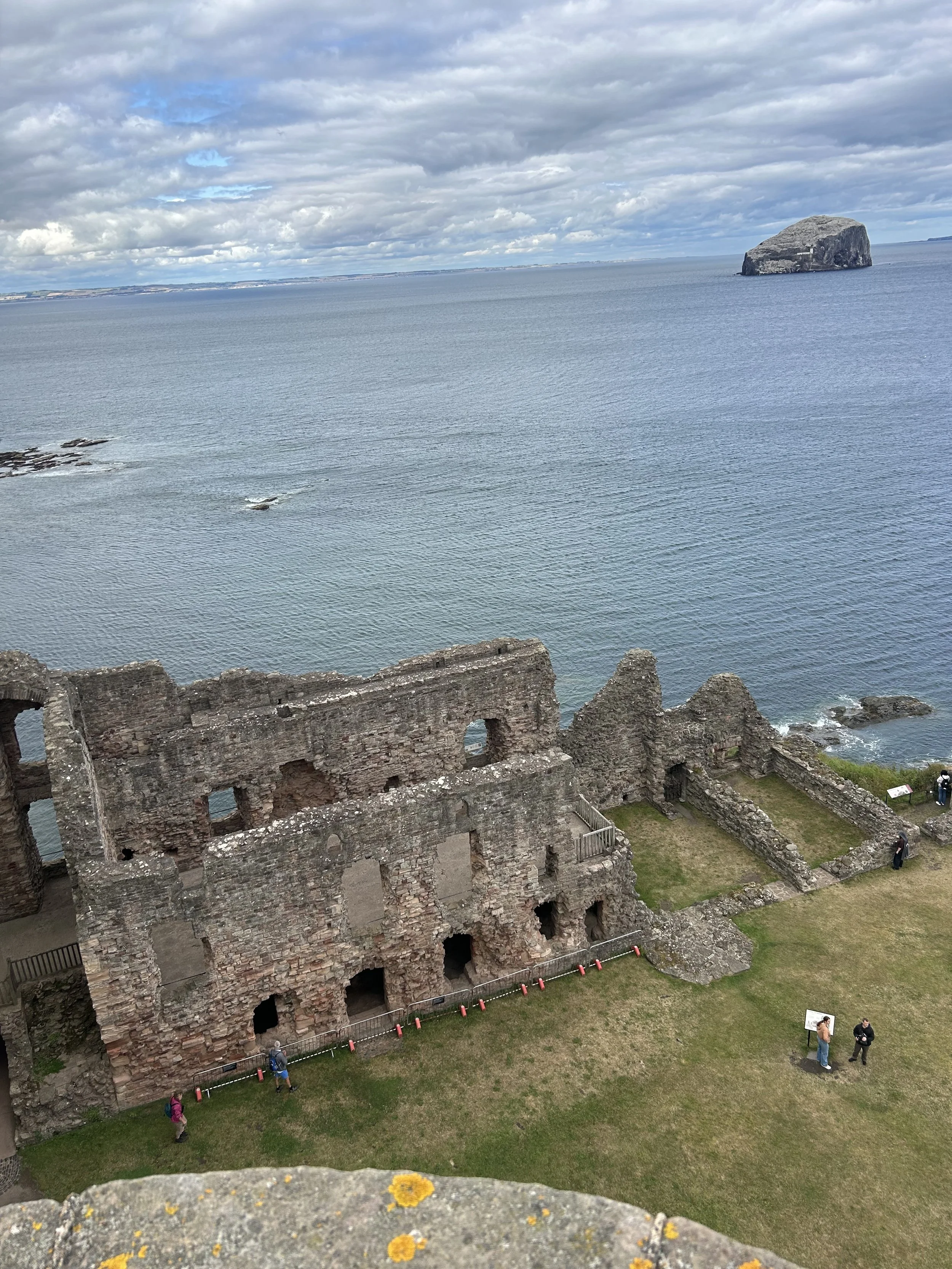 IMG_6397.jpeg