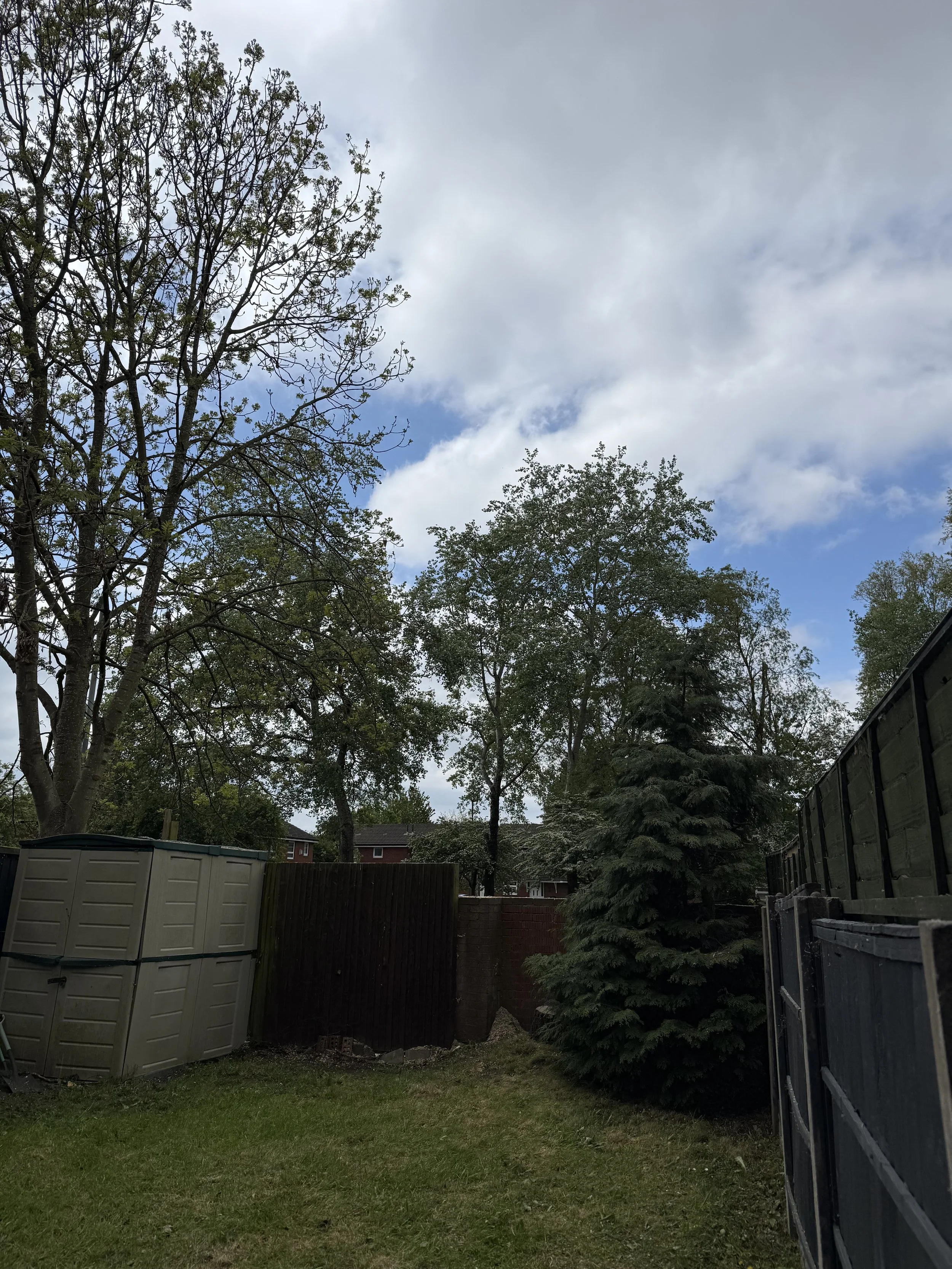 IMG_3543.jpeg