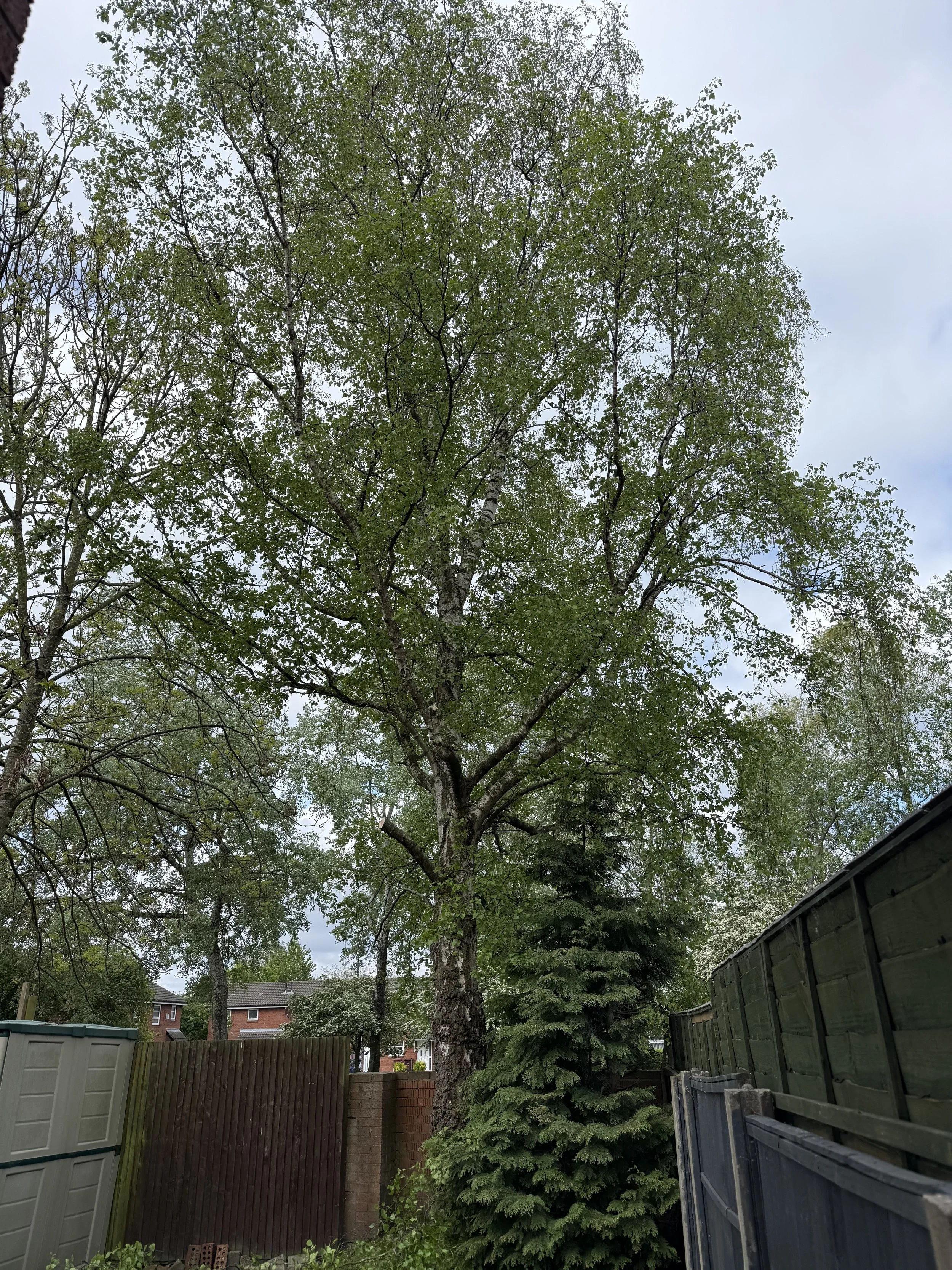 IMG_3542.jpeg