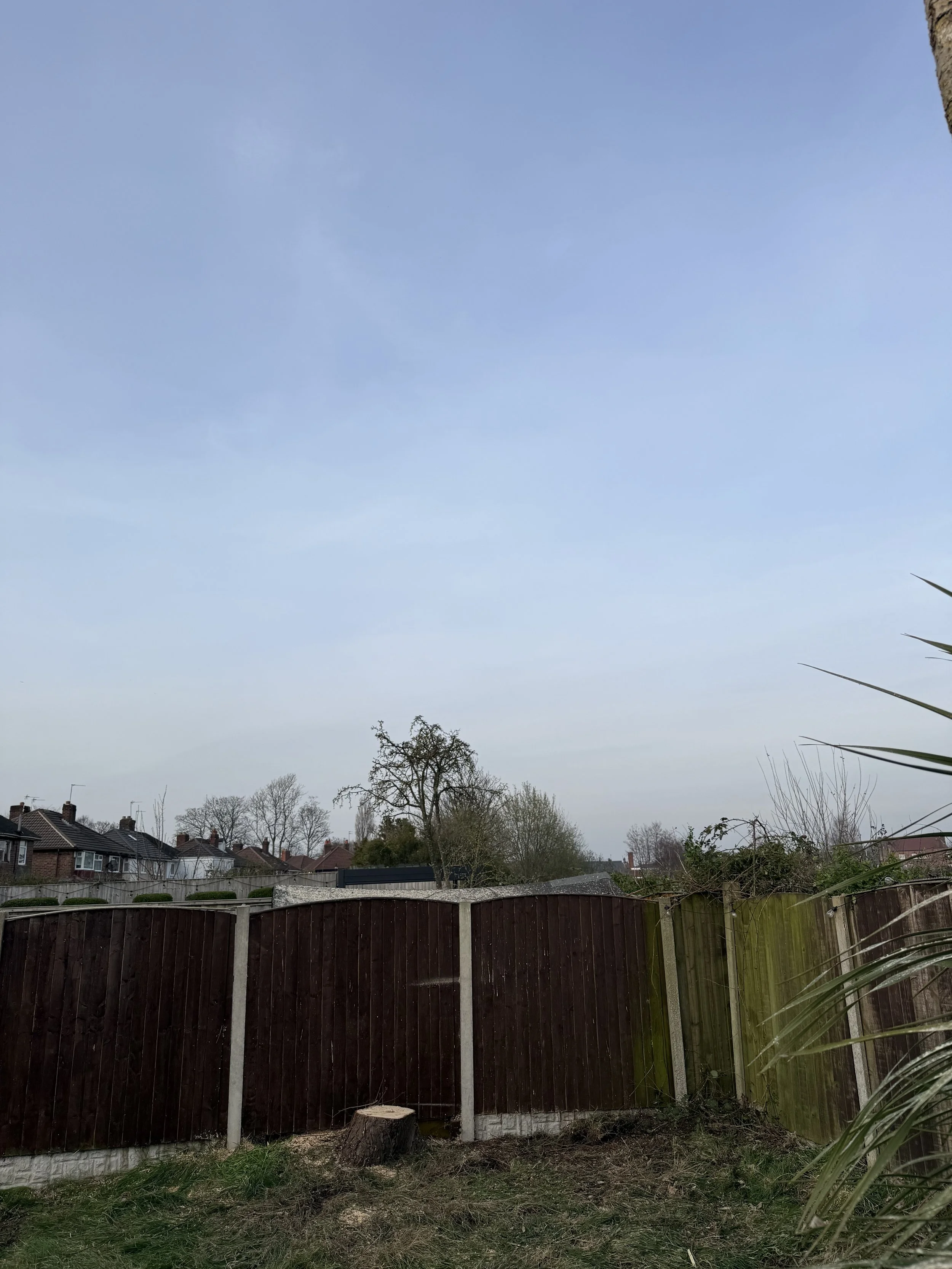 IMG_2947.jpeg