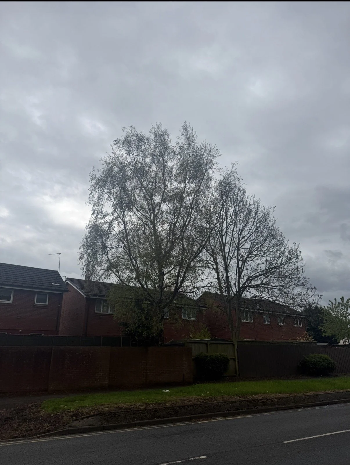 IMG_3544.jpeg