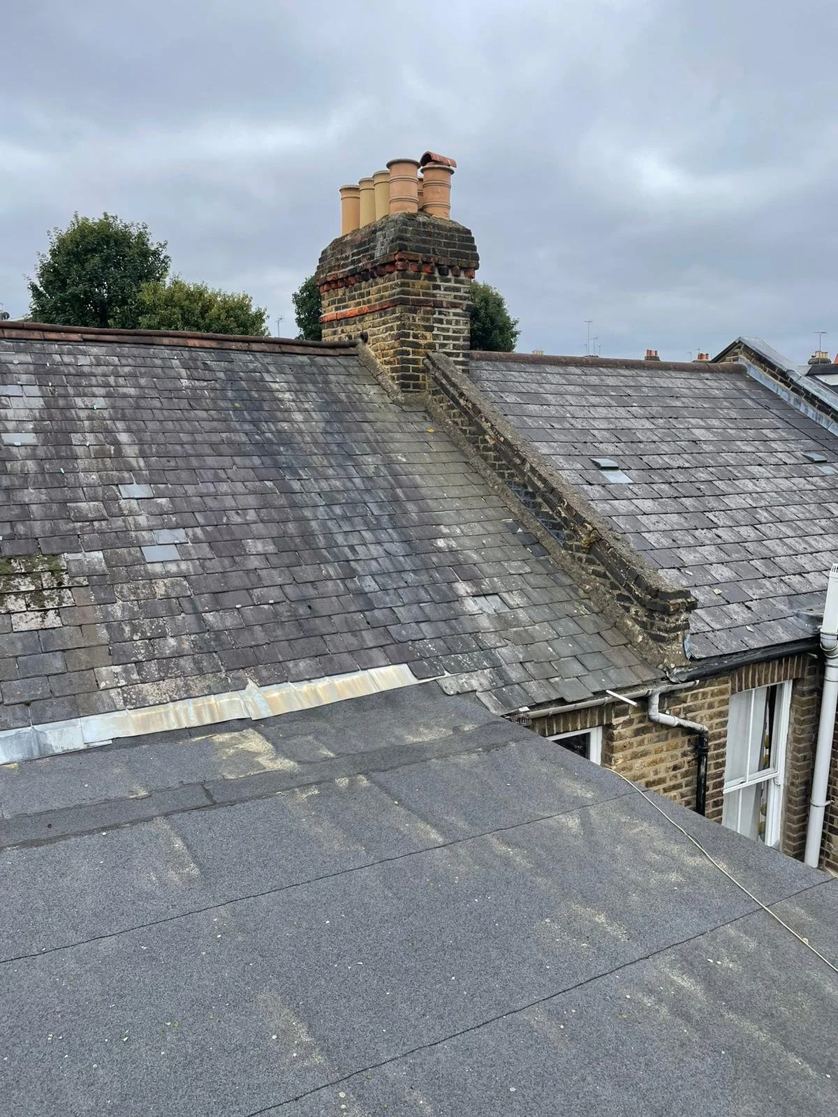 PHOTO-2024-10-06-13-40-07 2.jpg