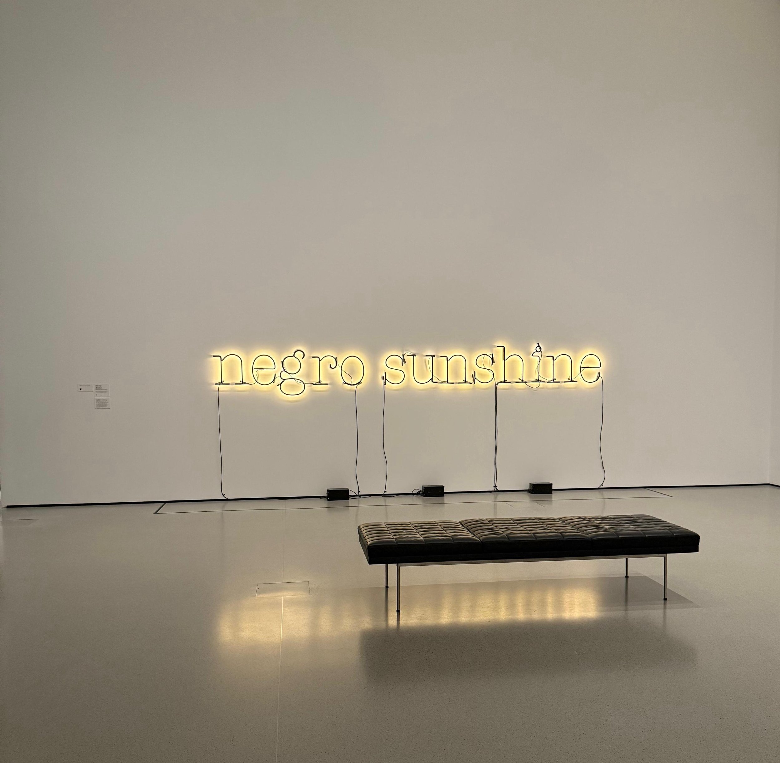 Warm Broad Glow - Glenn Ligon