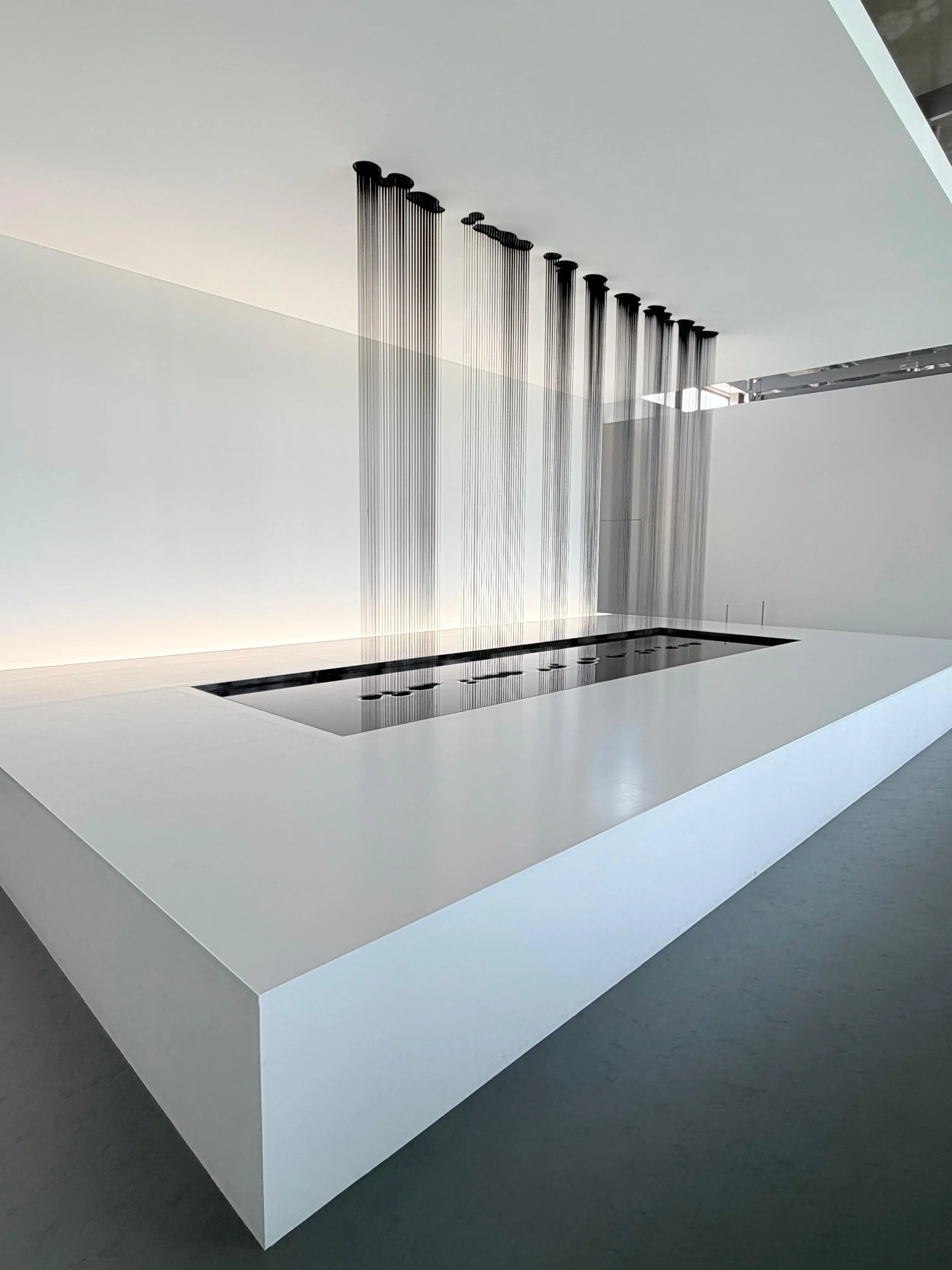 Force — Kohei Nawa 