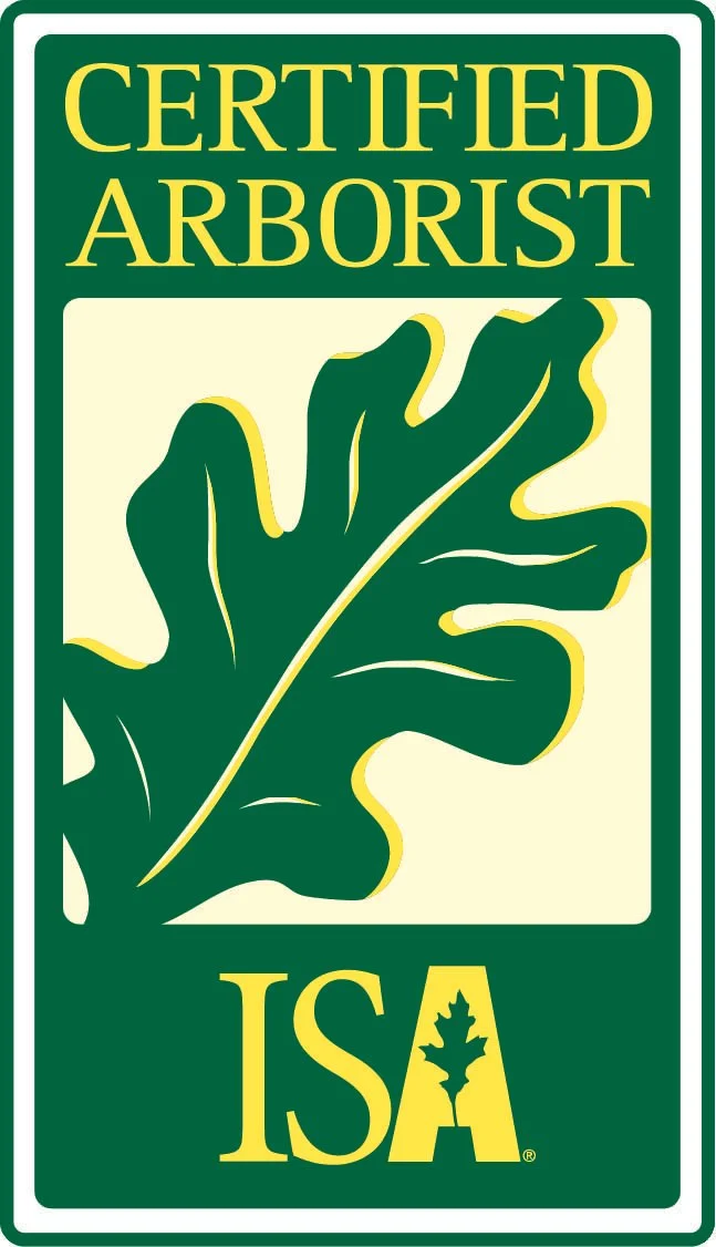 A certification badge for a licensed arborist featuring a green and yellow color scheme, a large leaf graphic, and the text "CERTIFIED ARBORIST" and "ISA."