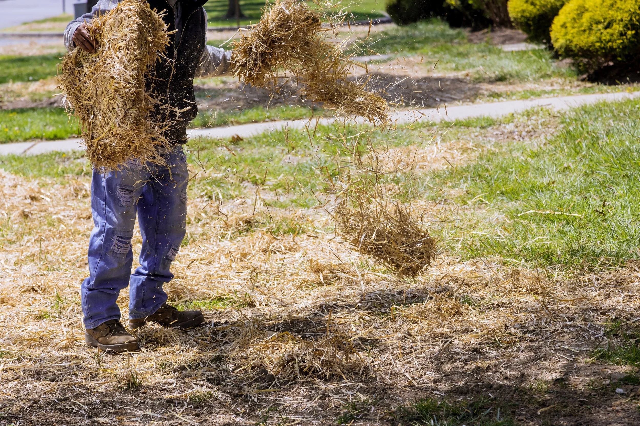 A person raking dry grass and leaves in a park.