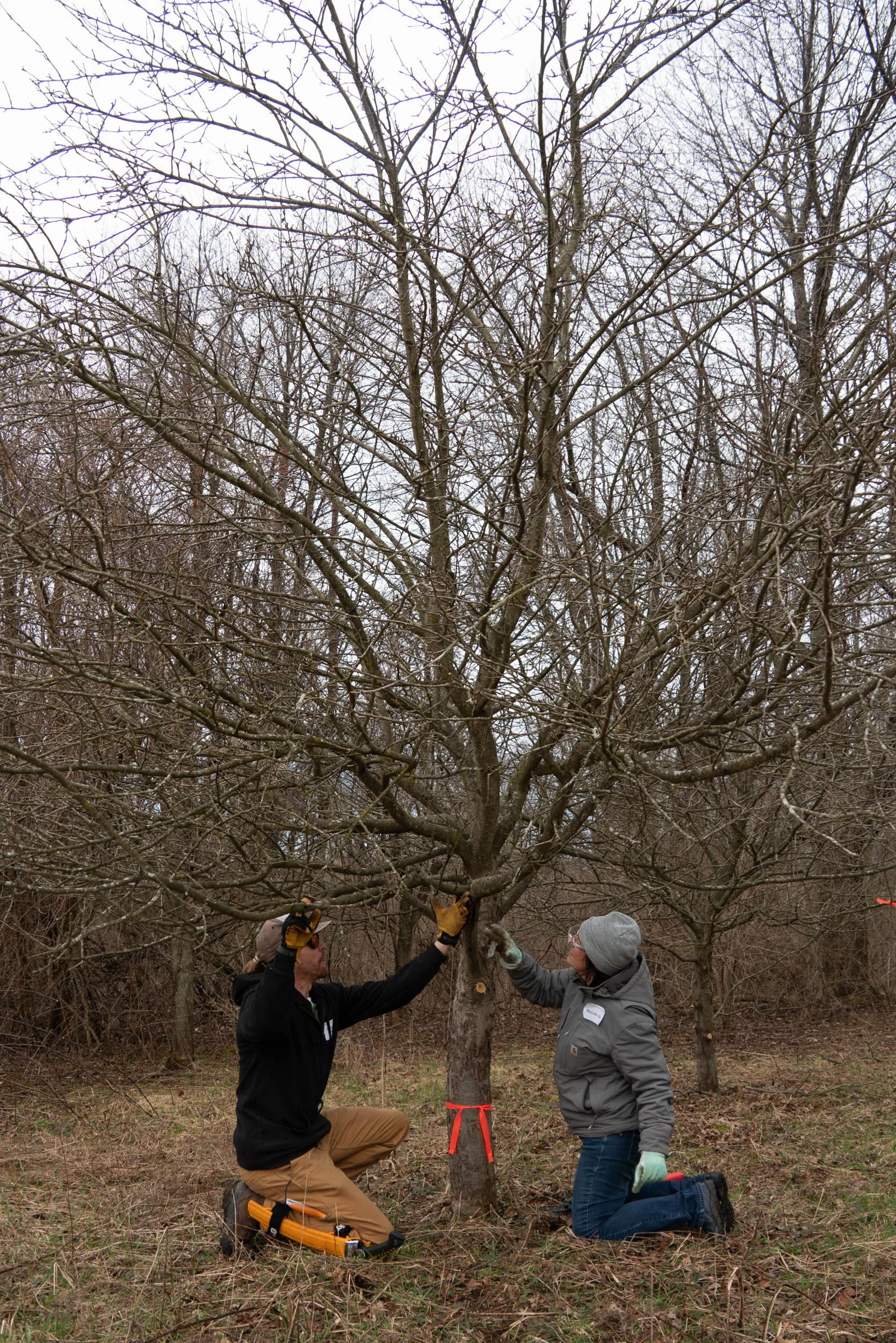 A man posing next to a very large tree in a forest, with one foot on the ground and one knee bent on the tree root, smiling and gesturing with his hands.