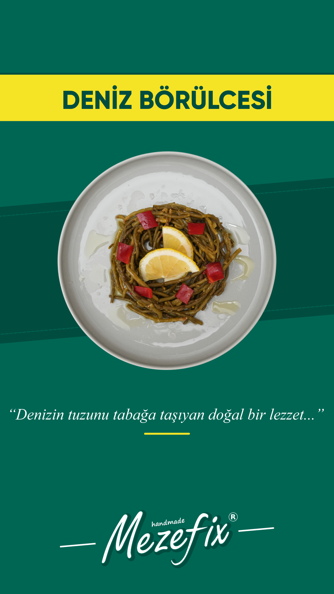 DENİZ BÖRÜLCESİ.png