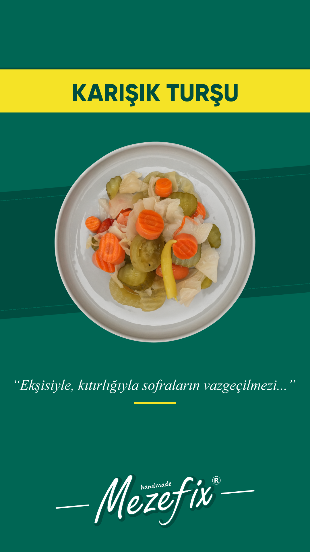 KARIŞIK TURŞU.png