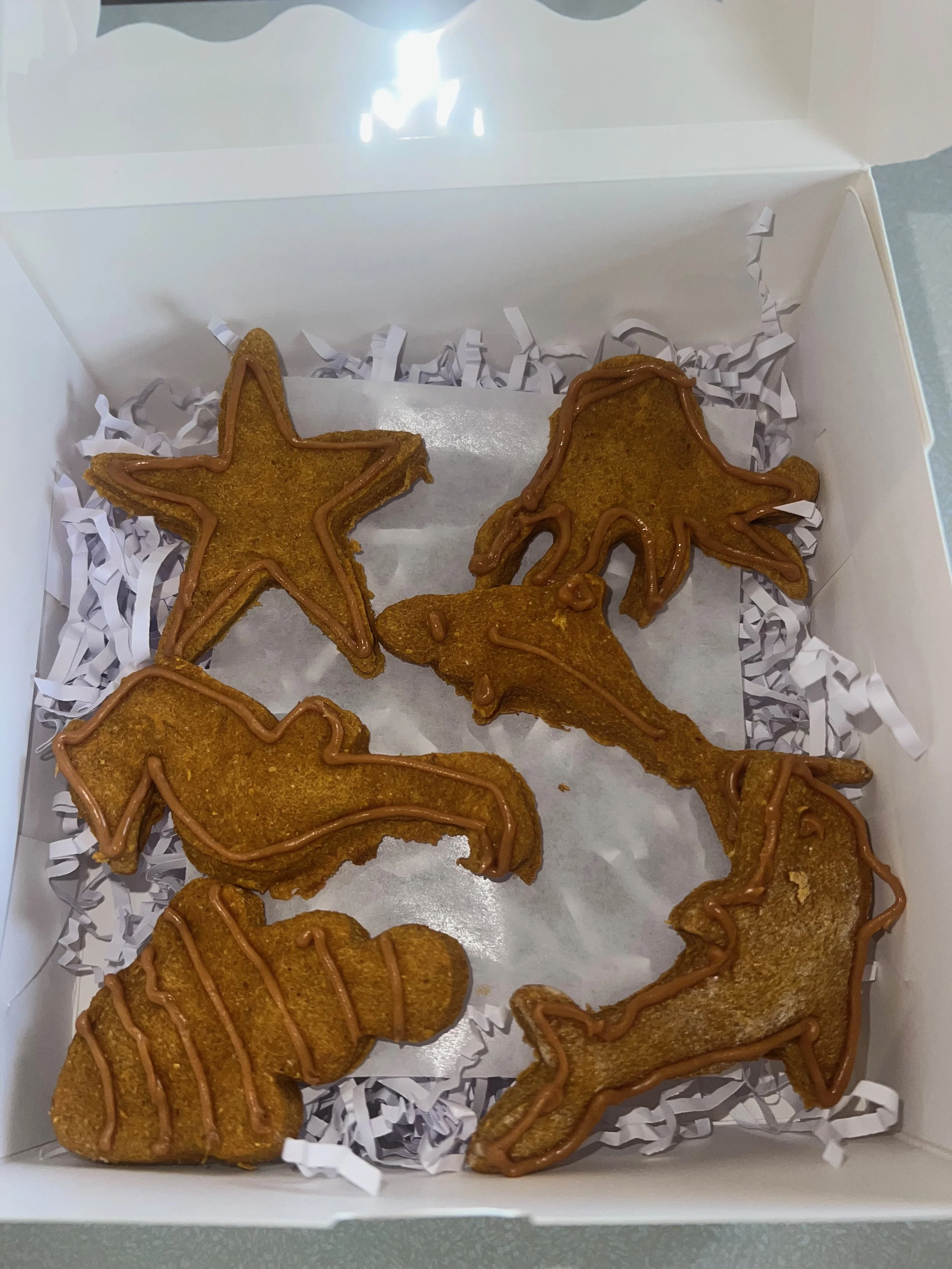 6 pack of dog treat's