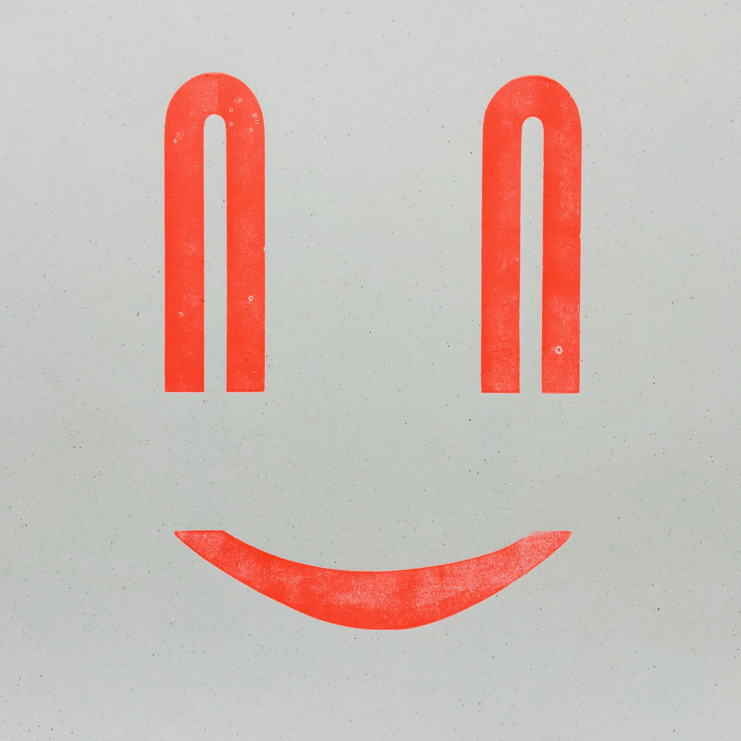 Faces Book Laura Veronesi