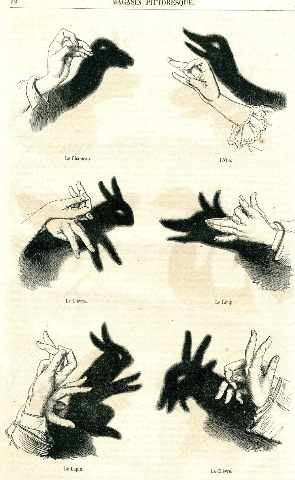 Hand shadows of various creatures - Public Domain