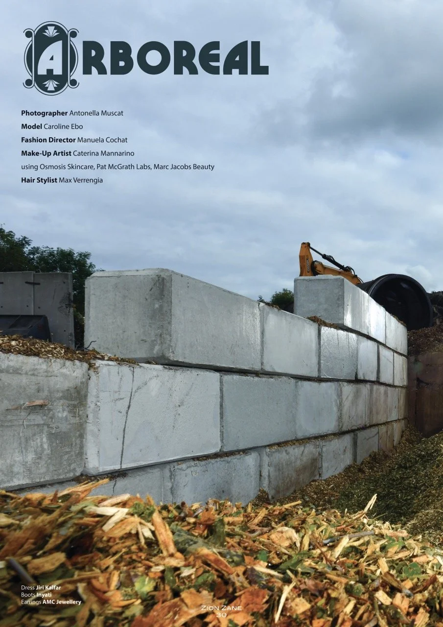 Arboreal (7) Large.jpeg