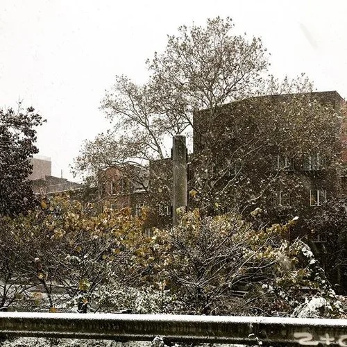 image-asset-5.jpg