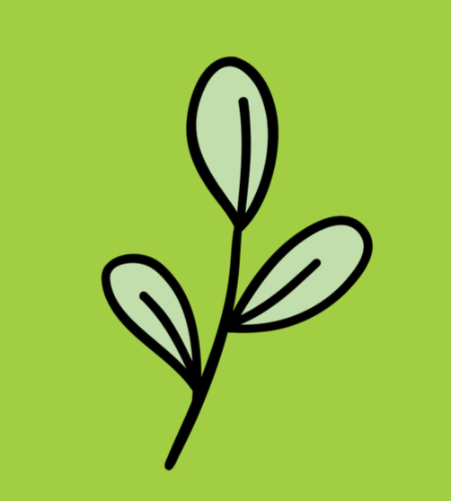 Illustration of a small plant with three leaves on a light green background.