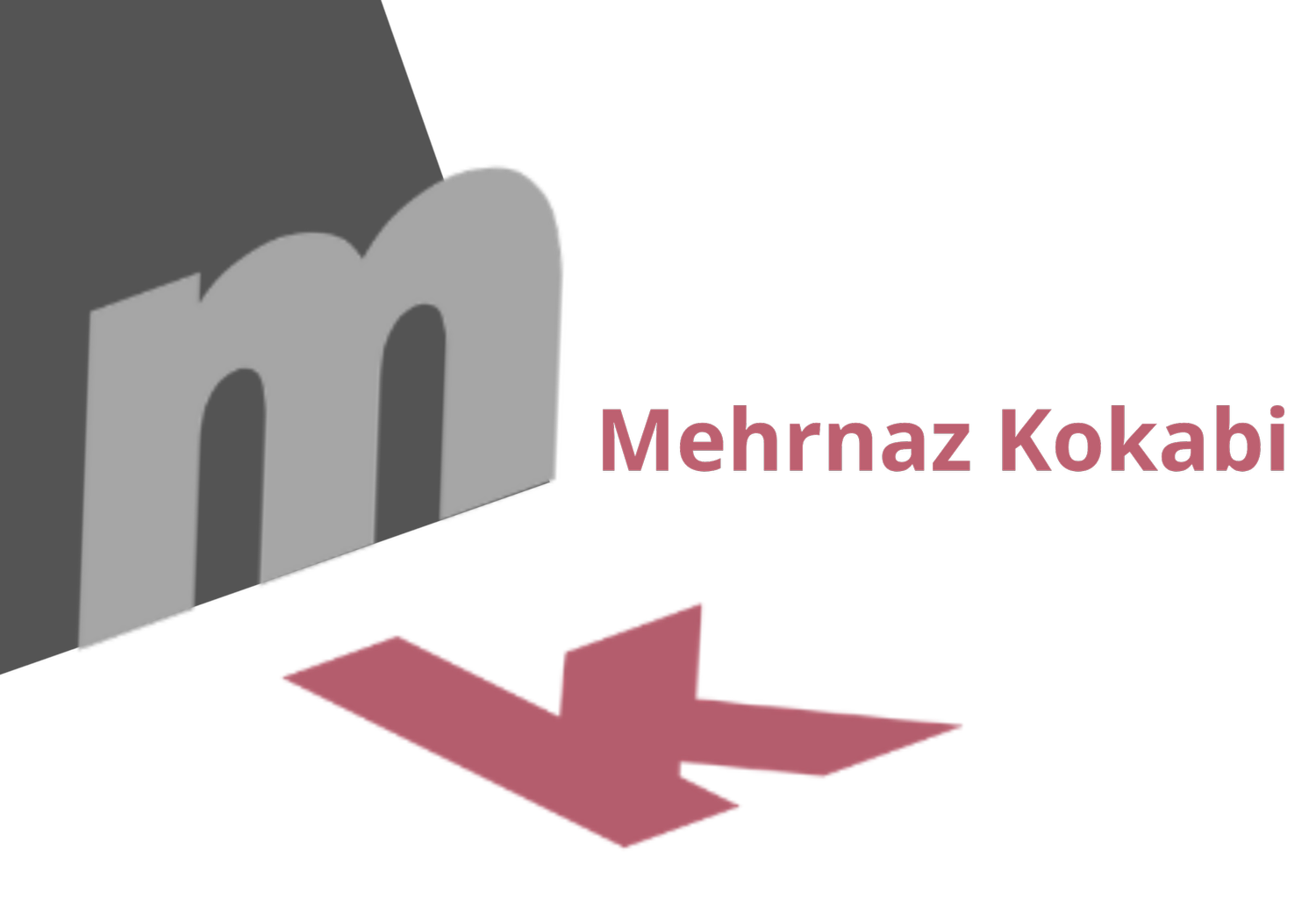 MEHRNAZ KOKABI PROFILE