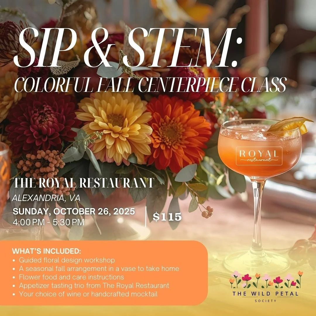 🍷🌸 Sip &amp; Stem: Colorful Fall Centerpiece 🍂✨
Join us at @royalrestaurantalxl in Alexandria for an evening of flowers, creativity, and fun. Your ticket includes a drink +
 appetizer trio, so come ready to sip, snack, and design!
📅 Oct 26 | 6 PM