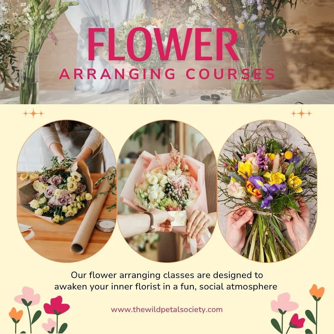 Come play with flowers with us 🌸 we&rsquo;ll guide you through making your own arrangement to take home and even send you off with flower food and care instructions&mdash;no experience necessary! ✨

#SipandStem #dcevents #dmvevents #dcthingstodo #al