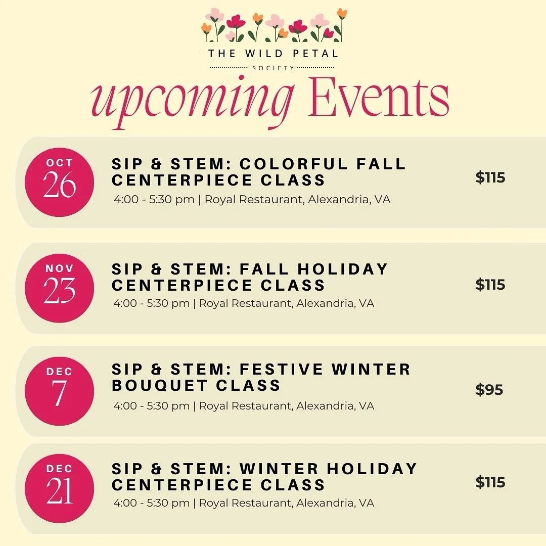 ✨ Upcoming Sip &amp; Stem Workshops ✨ Tickets include all materials,  drink + appetizer trio.
 Grab your spot now! (Link in bio)

#SipandStem #dcevents #dmvevents #dcthingstodo #alexandriavaevents #novaevents #flowerclass #diyflowers #sipandcreate #d
