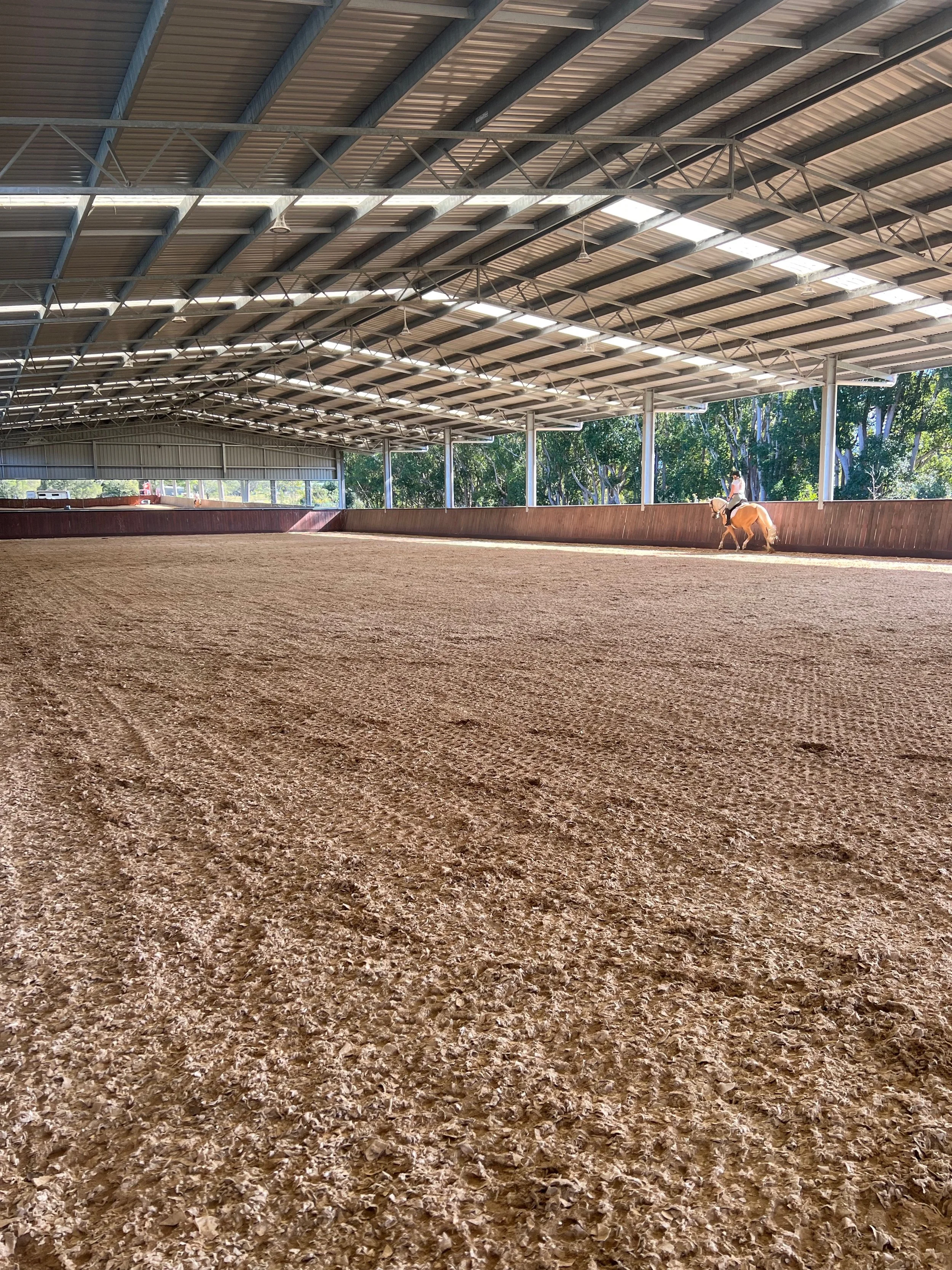 indoor dressage arena