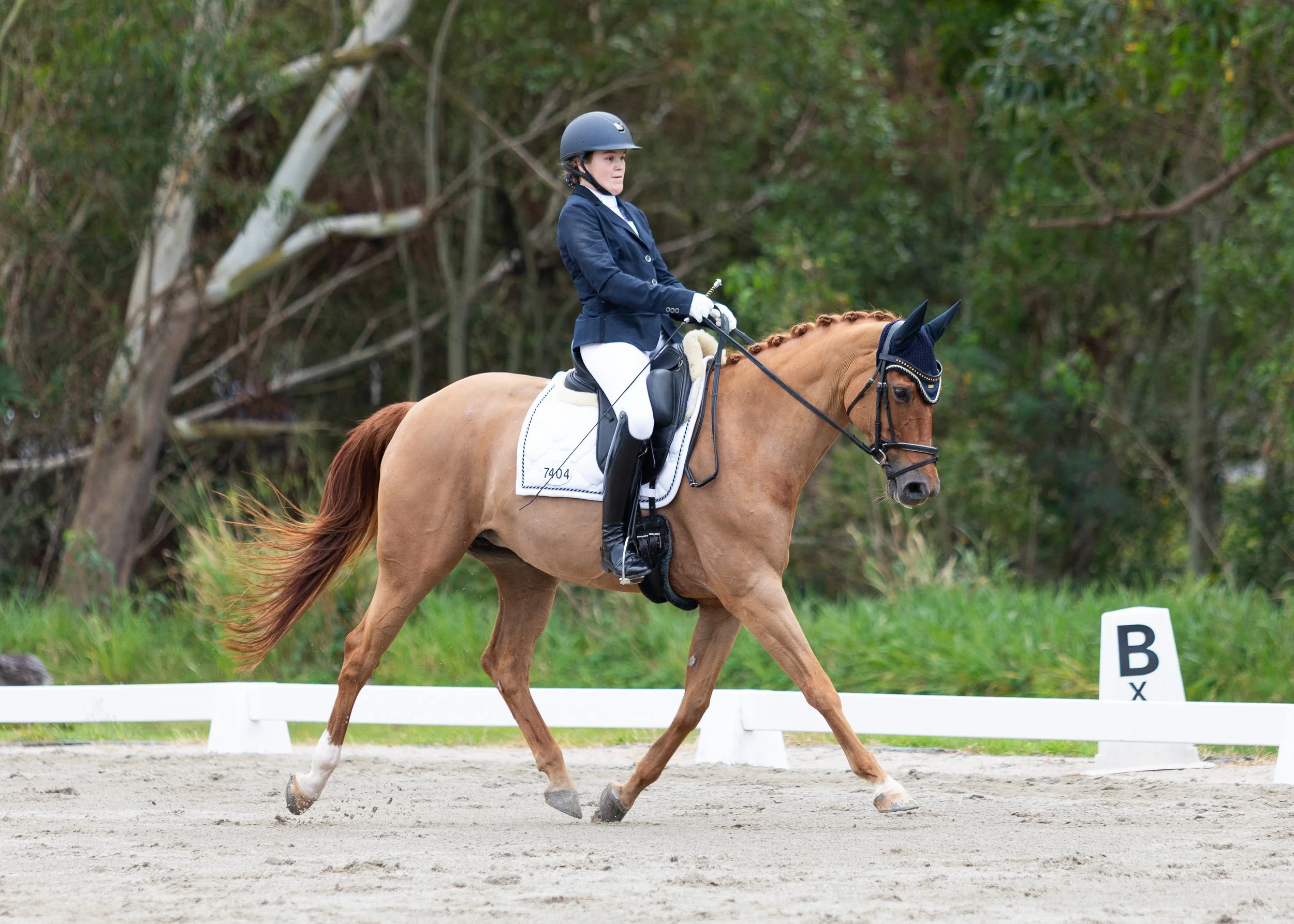 Riding dressage horse