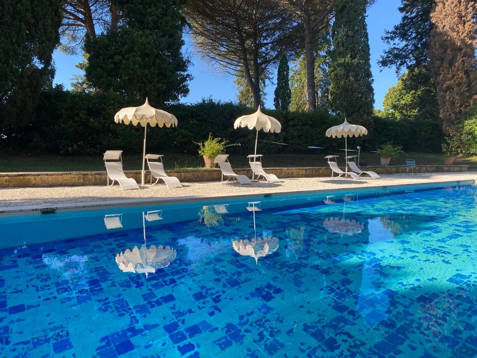 Piscina con sedie a sdraio e ombrelloni, con alberi sullo sfondo, in una giornata di sole