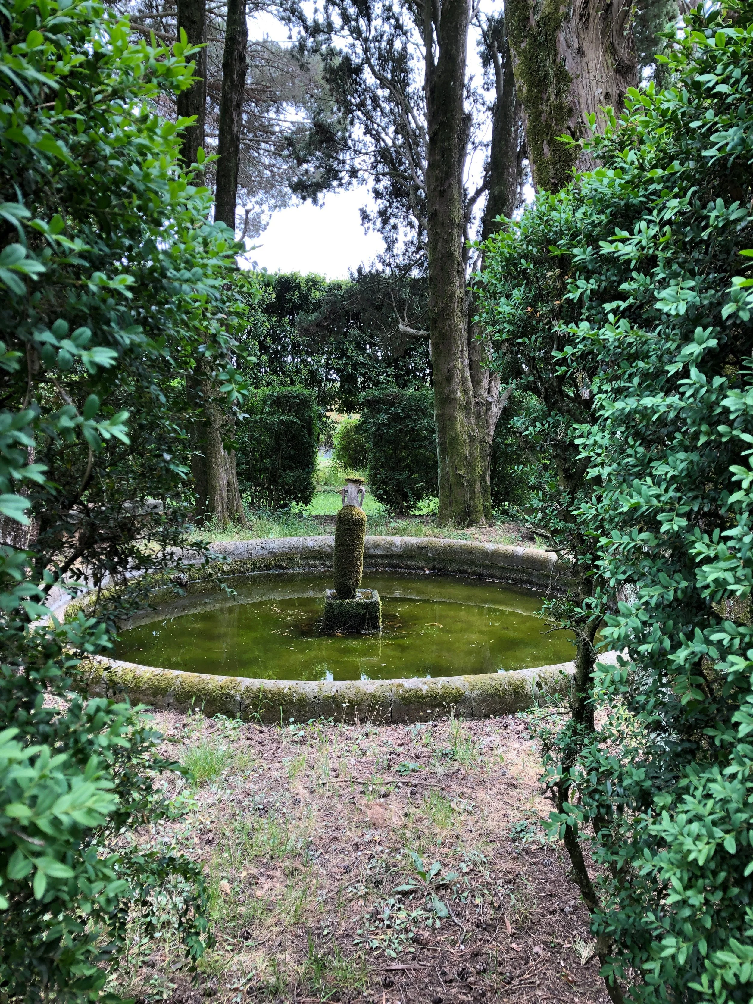 Fontana rotonda in giardino circondata da cespugli e alberi