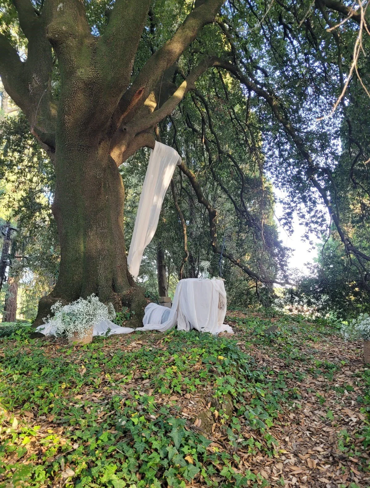 copia WhatsApp Image 2024-09-05 at 16.36.39.jpg