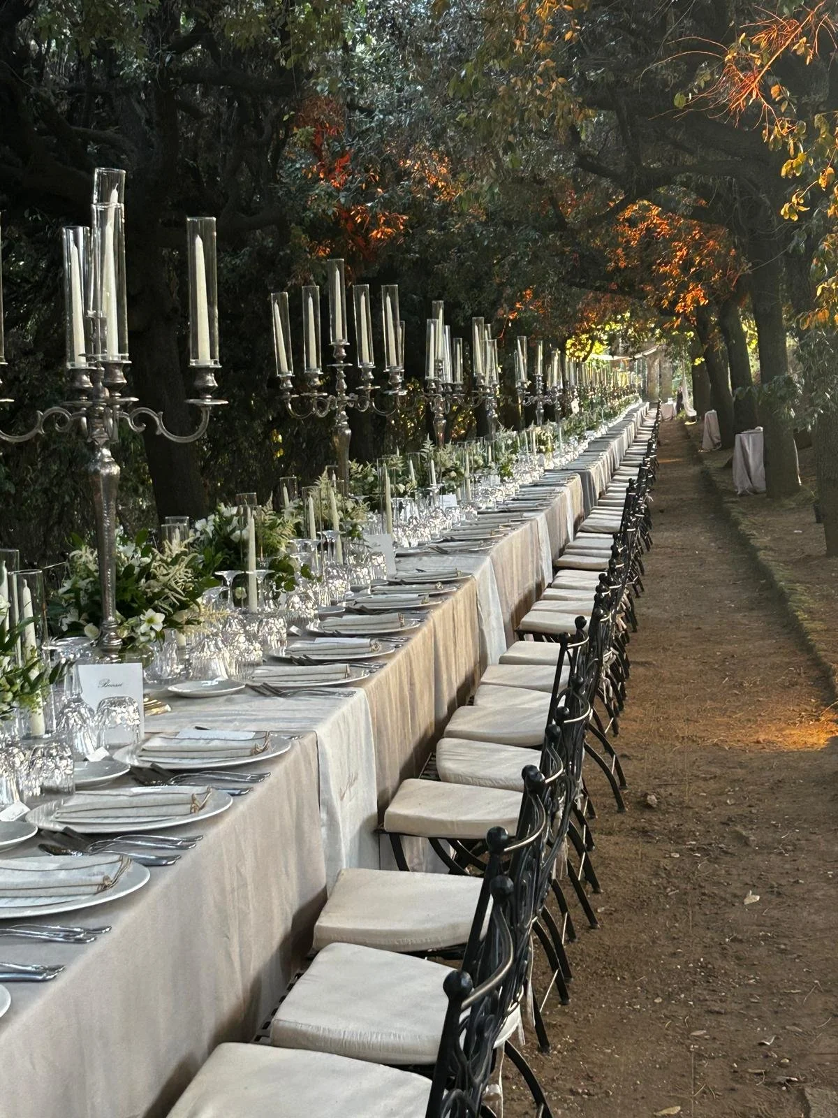 Immagine WhatsApp 2024-09-06 ore 18.48.06_cbc9e4d0.jpg