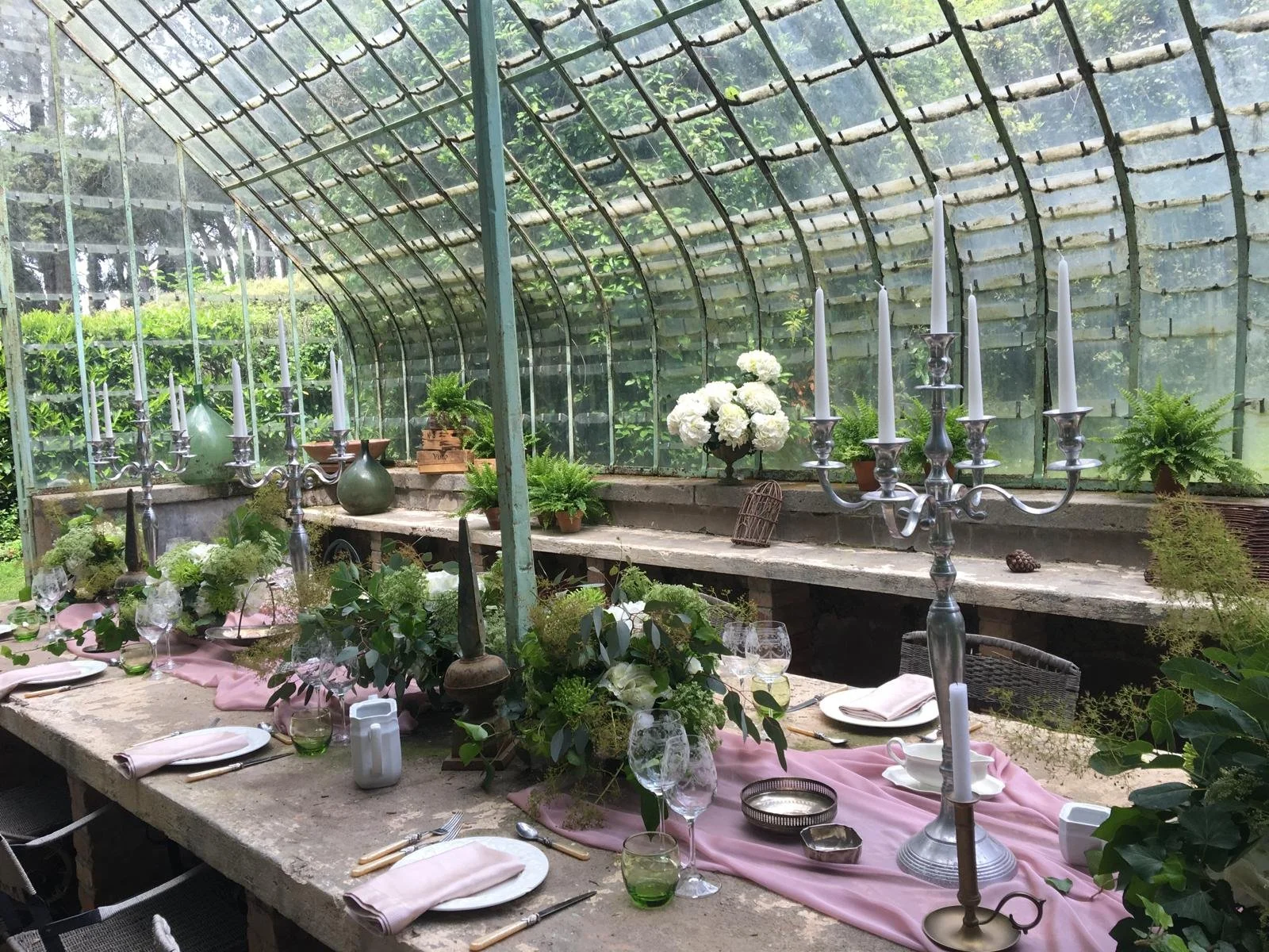 WhatsApp Image 2024-09-06 at 17.20.34.jpeg