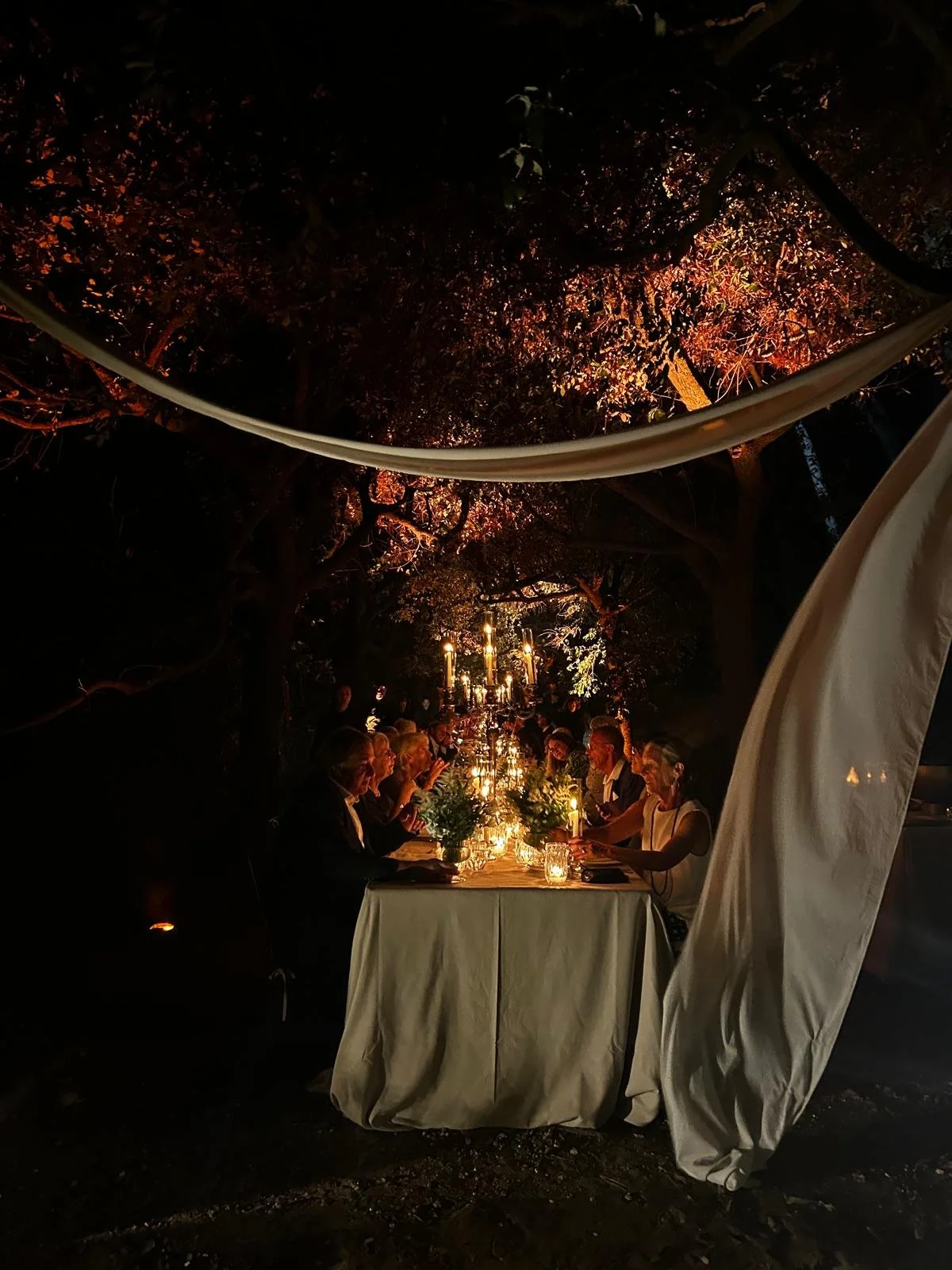 Immagine WhatsApp 2024-09-06 ore 18.33.33_ced2067e.jpg