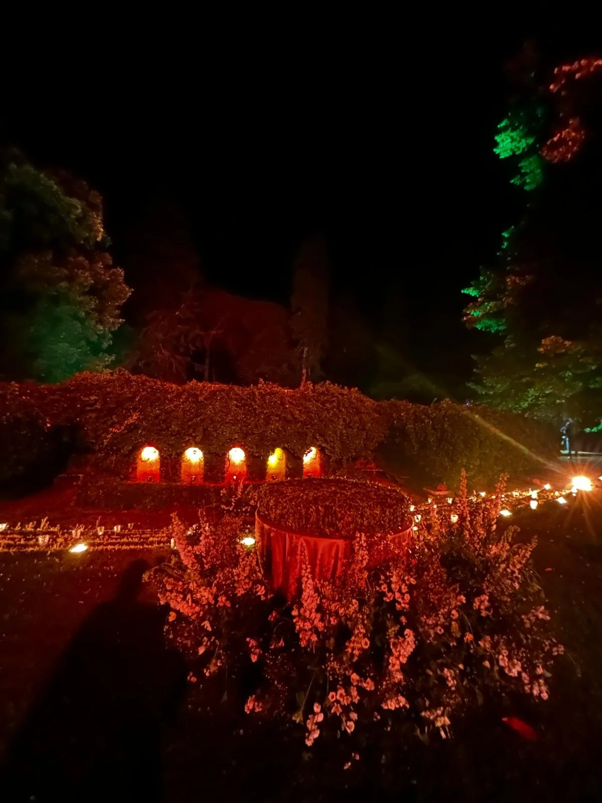 Immagine WhatsApp 2024-09-06 ore 18.47.03_570b08ac.jpg