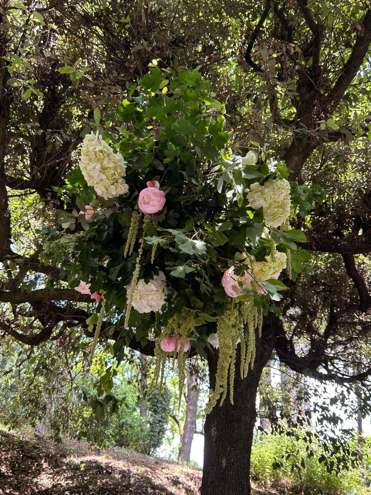 Immagine WhatsApp 2024-09-06 ore 19.07.00_6c74427e.jpg