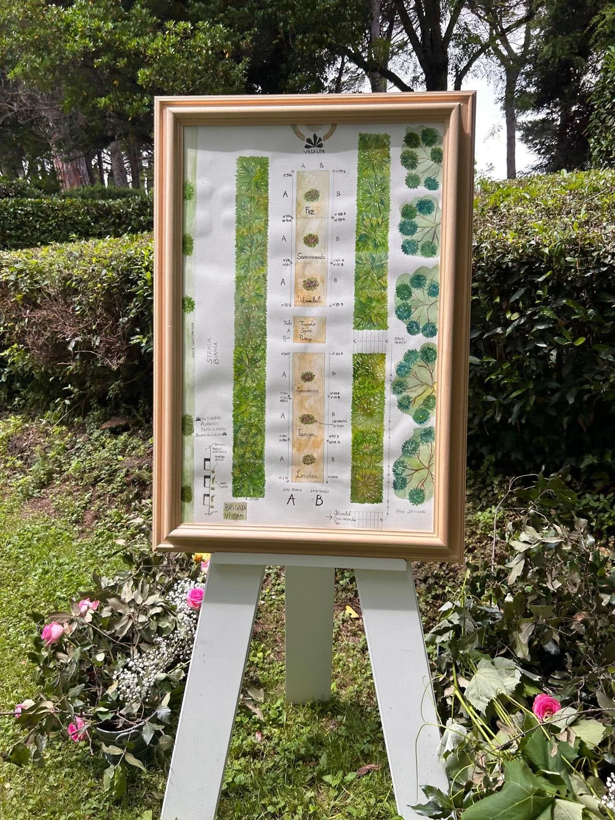 Immagine WhatsApp 2024-09-06 ore 18.57.48_0de667f8.jpg