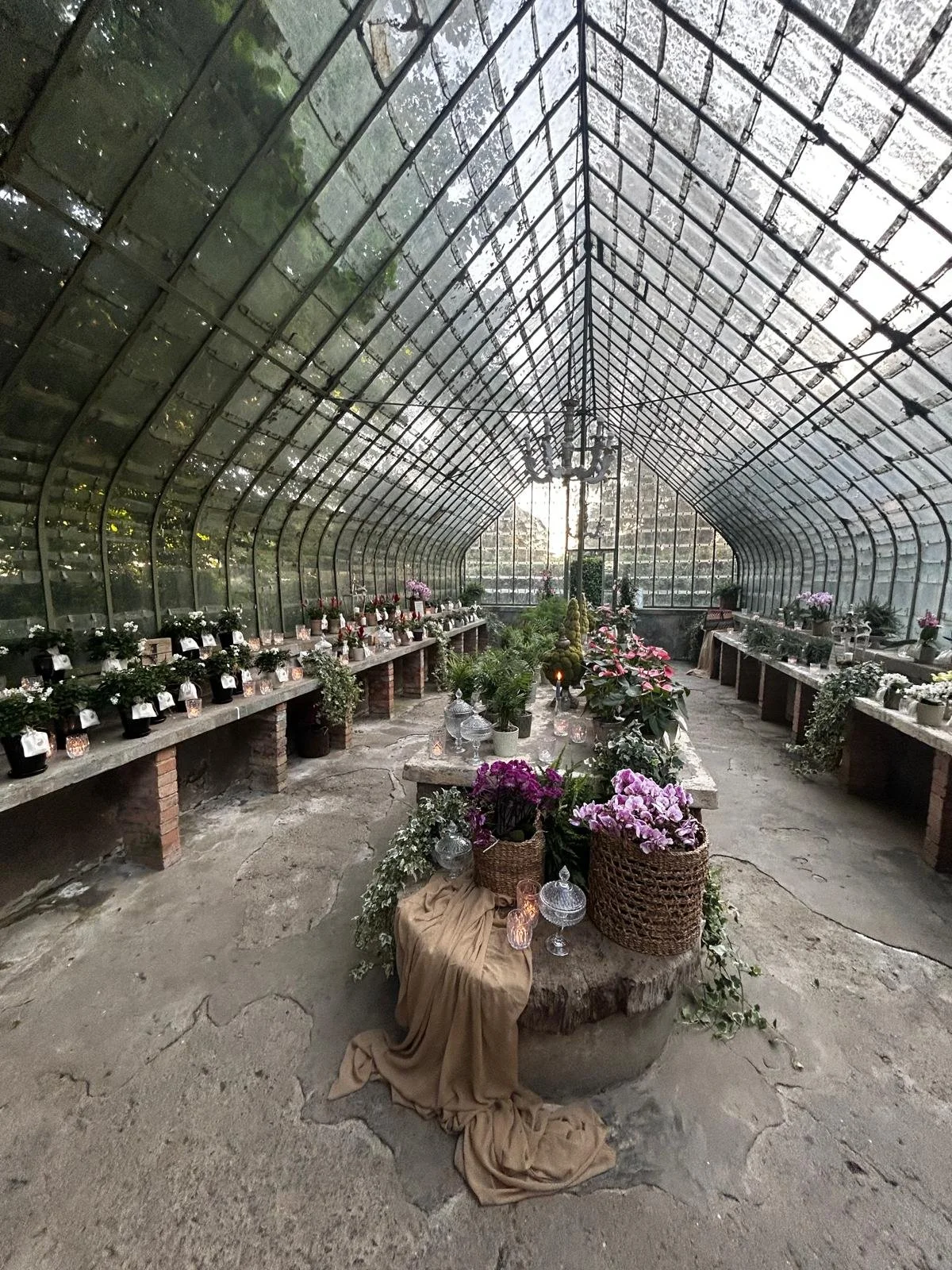 Immagine WhatsApp 2024-09-06 ore 18.44.19_91fc4ef6.jpg