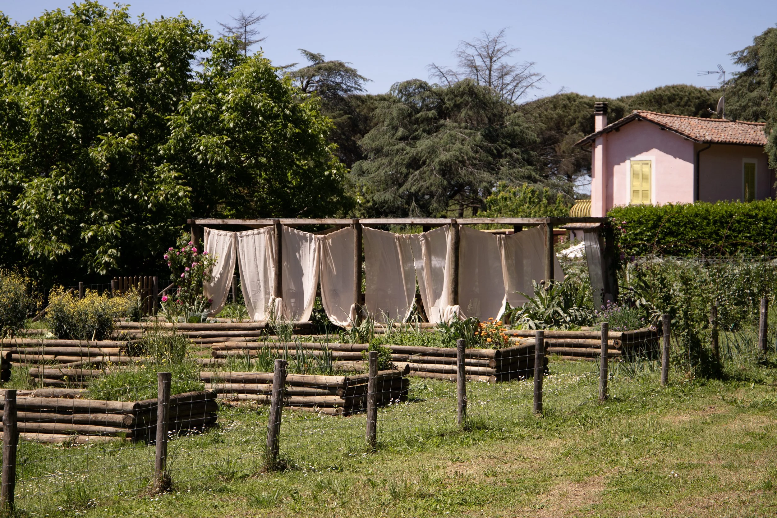 IMG_0053 copia.jpg
