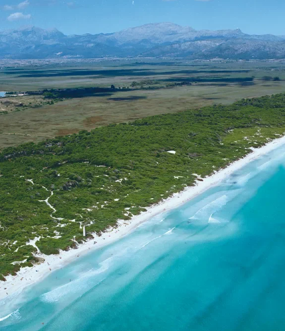 Aerial view of a coastline with white sandy beach, green vegetation, and turquoise ocean waves, with mountains in the distance.