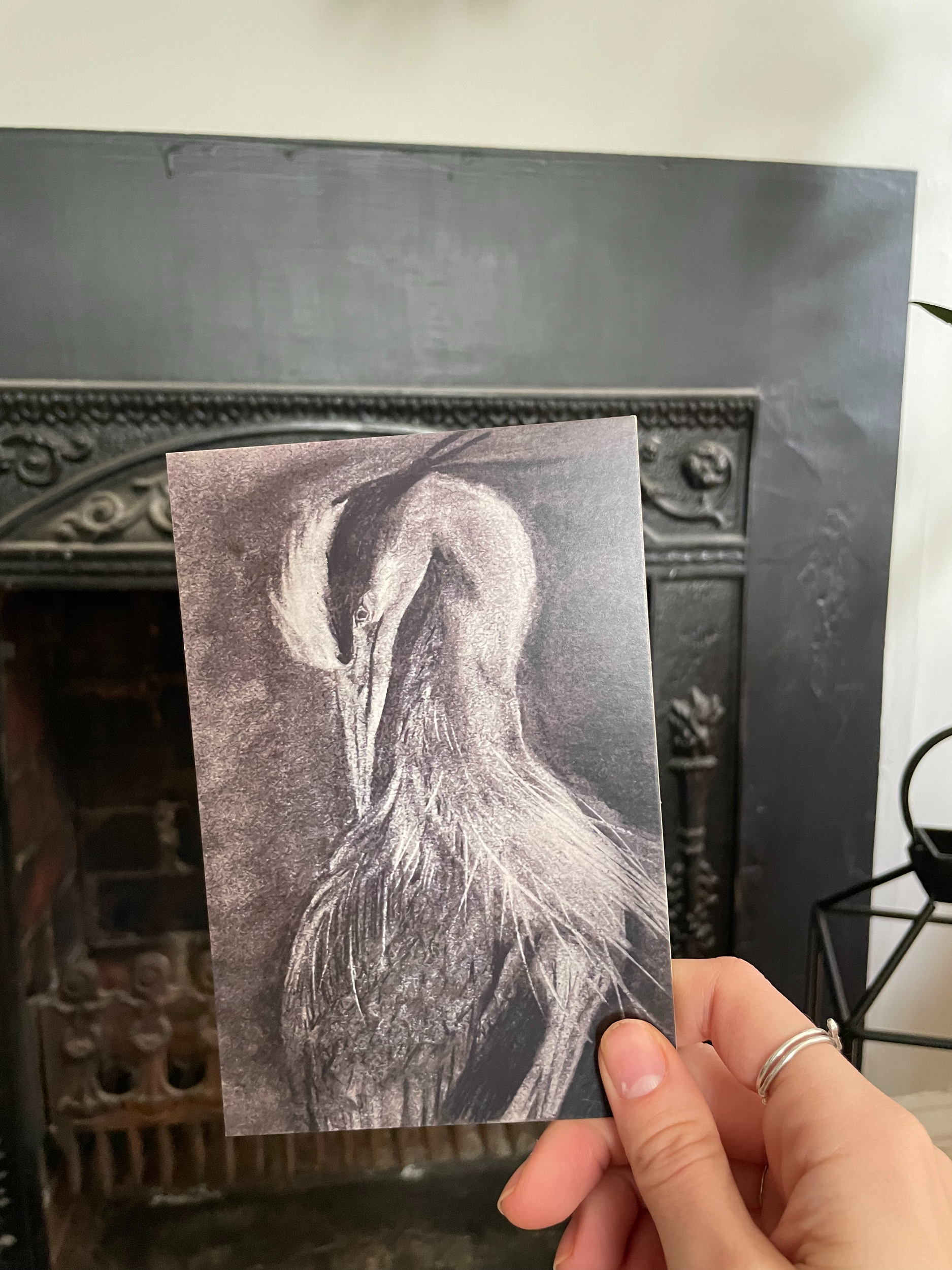 Charcoal+Heron+Postcard+1.png