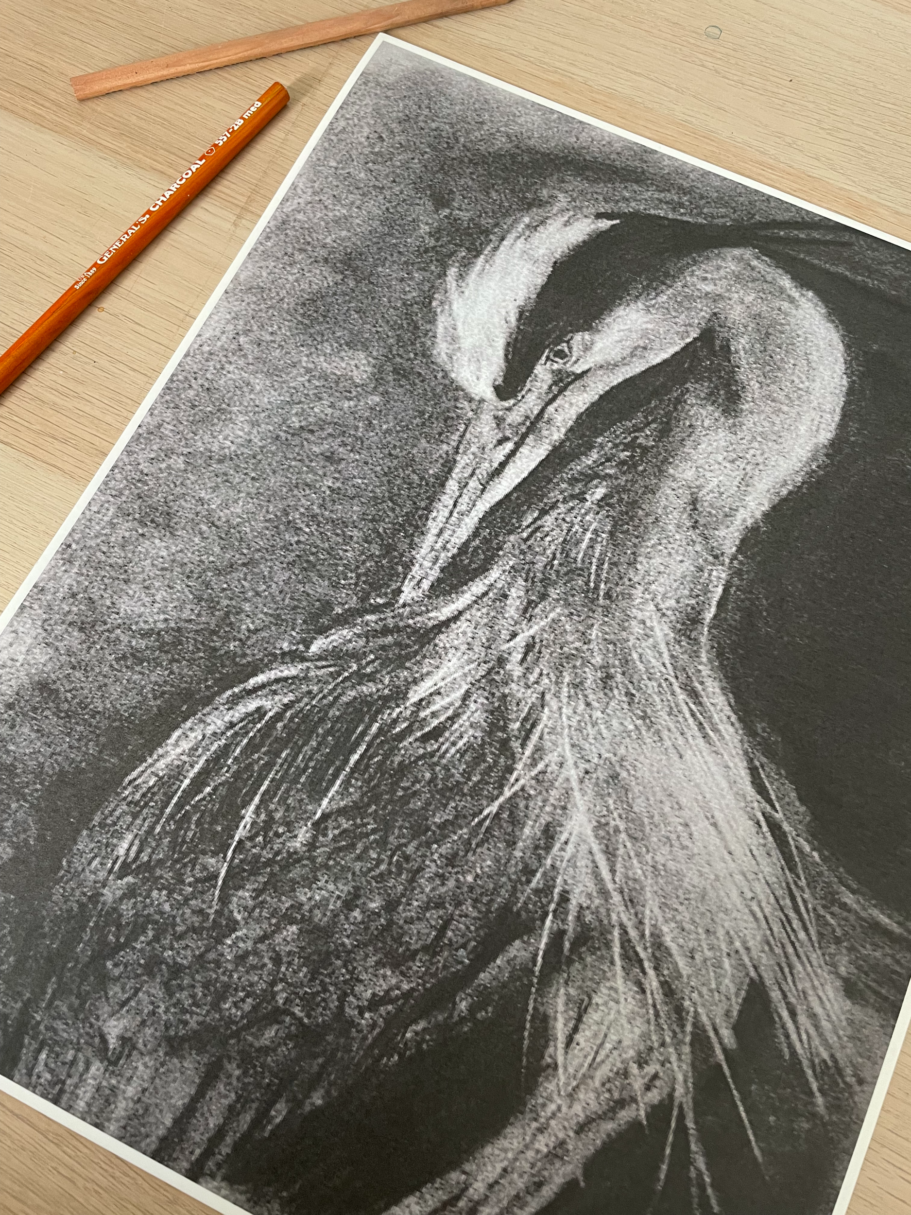 Charcoal+Heron+4.png