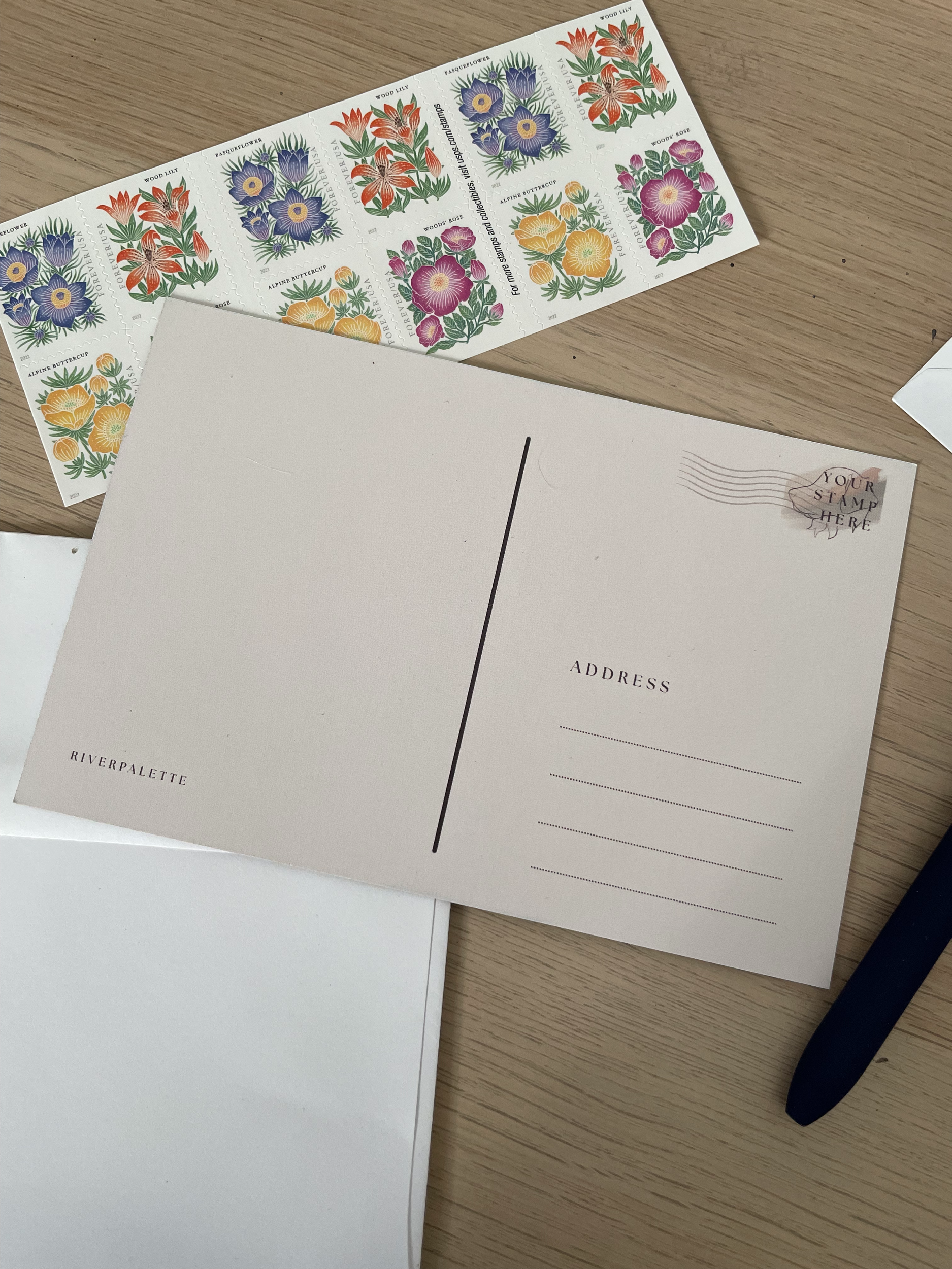 Postcard+Backing+2.png (Copy)