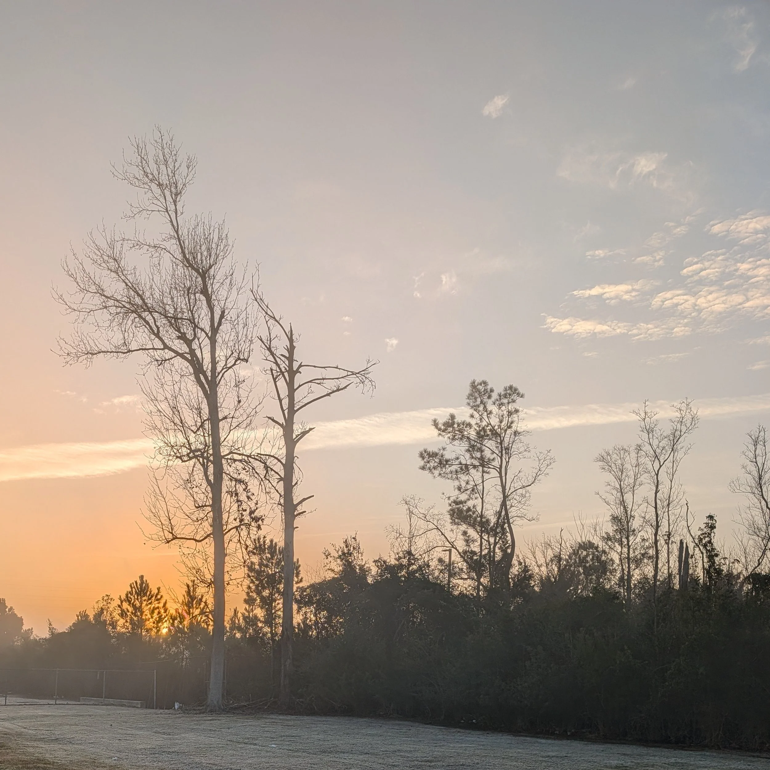 Schneesturm im Anmarsch