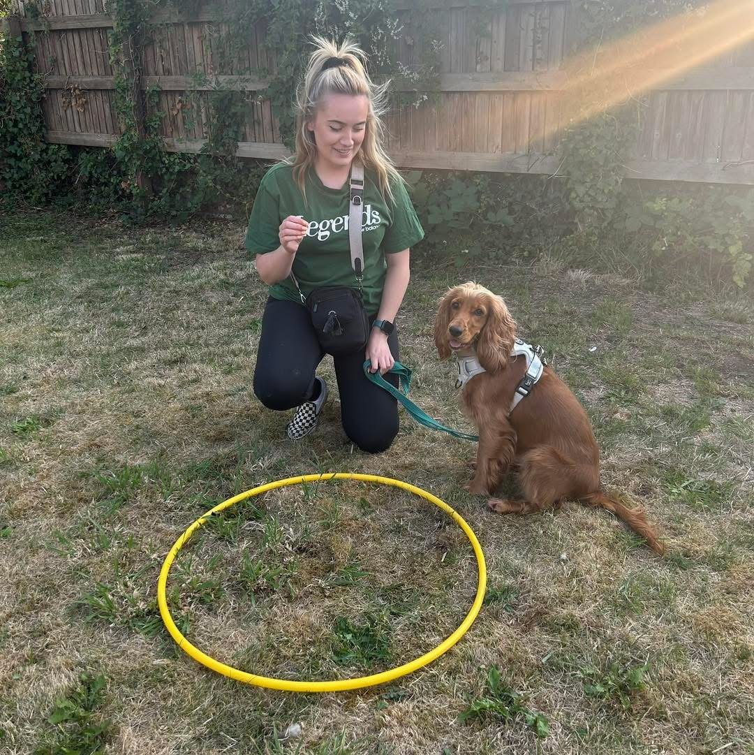 A young woman kneeling on the grass with a golden retriever puppy sitting next to her. The woman is smiling and holding a green leash attached to the puppy. There is a yellow hula hoop on the ground in front of them, and a wooden fence with some greenery in the background. The woman is wearing a green t-shirt and black pants.
