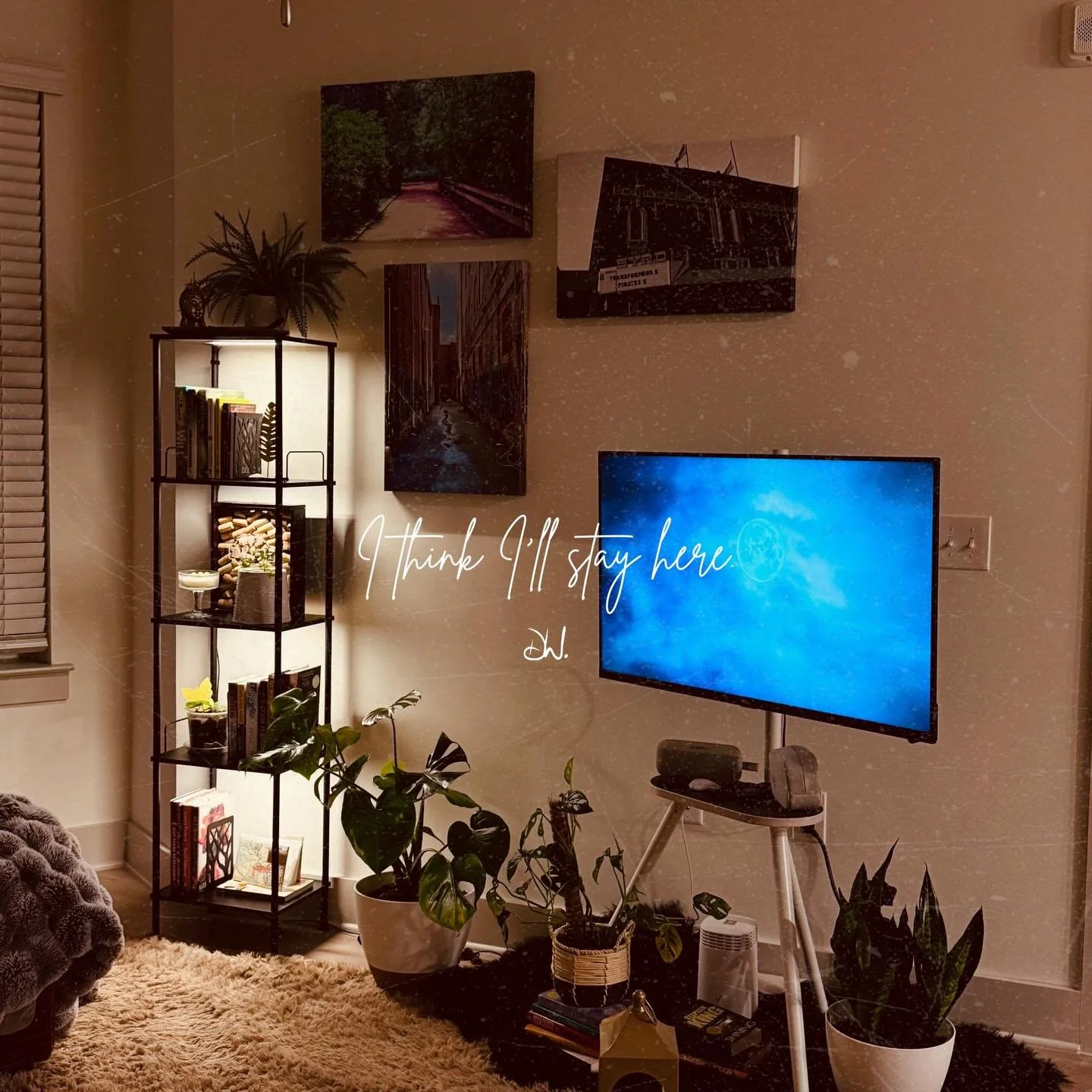 I think I&rsquo;ll stay here 🦥