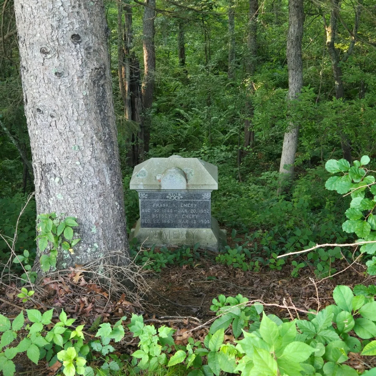 This is my favorite grave in Brookside Cemetery. It is very hidden, go visit and see if you can find it! Don't get too close though, that is mostly poison ivy growing down the hillside ☠️ This is the grave of Frank and Betsey Emery. Frank grew up in