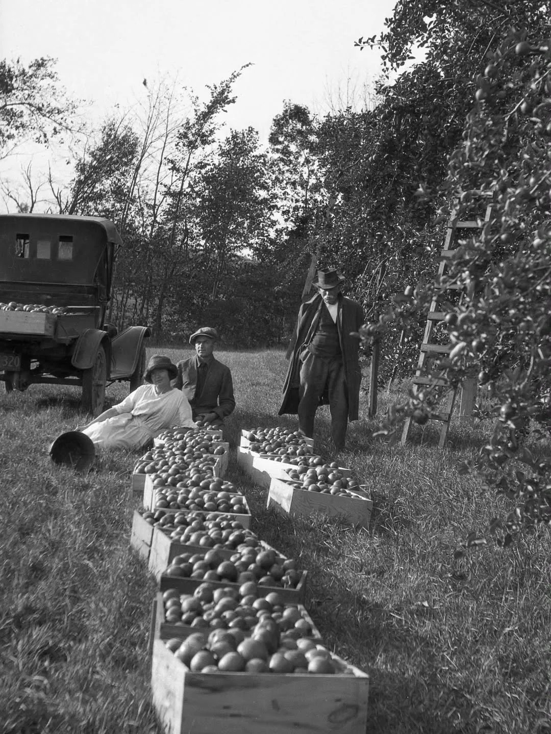 Taking a break from harvesting apples at Morss farm on Lake Shore Road in the early 1900s.
#boxfordmass #boxfordhistory #boxfordma #boxford #appleseason #applepicking