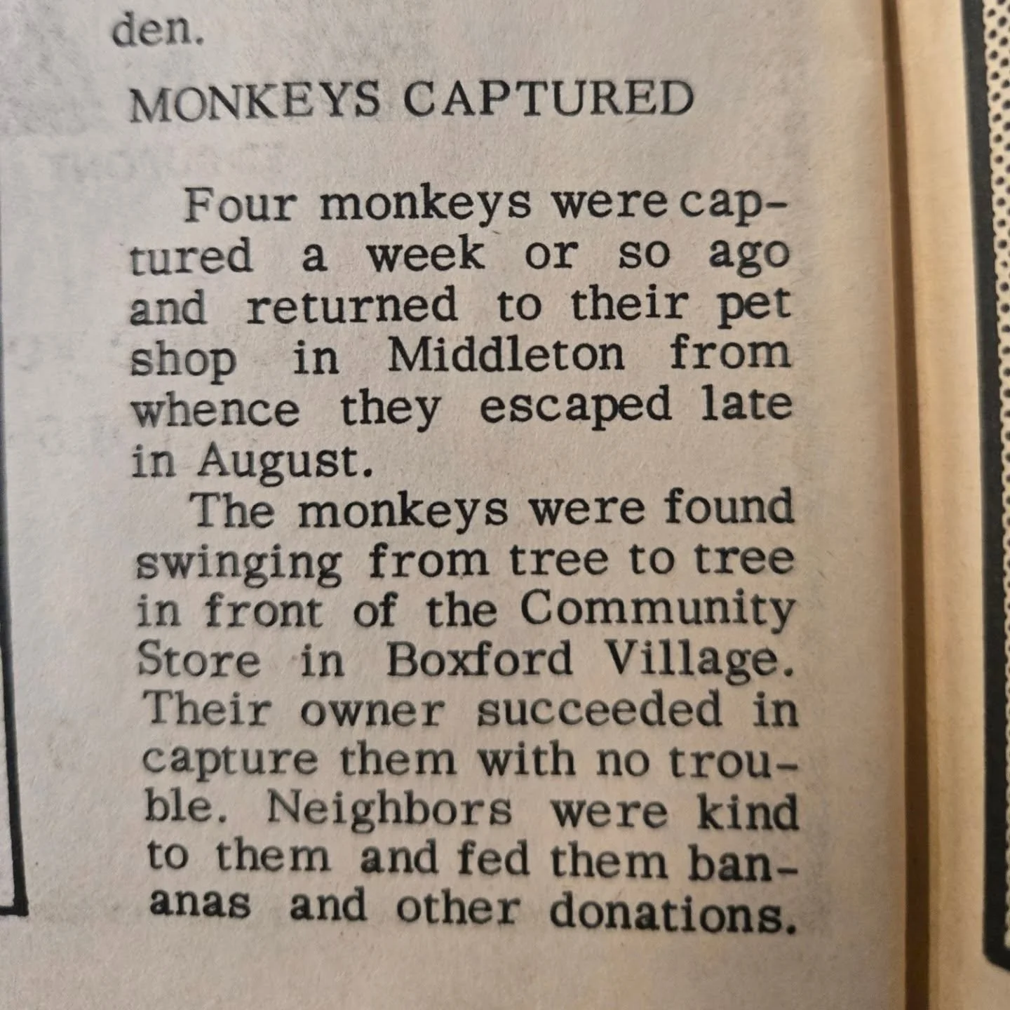Okay people who were living in Boxford in 1969, is this a true story?! I wish there was a photo 🤣 North Andover Citizen, September 18, 1969

#boxfordhistory #boxfordma #boxfordmass #boxford #monkeybusiness @boxfordcommunitykitchen